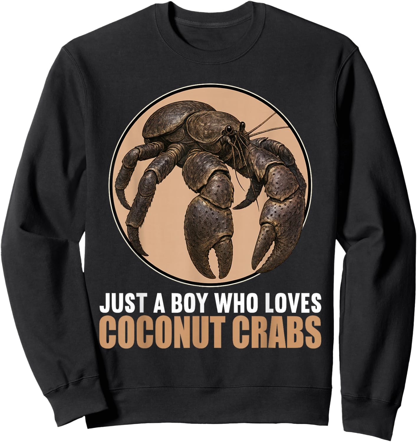 Just a Boy who loves Coconut Crabs Coconut Crab Sweatshirt - Sweatshirt | Black
