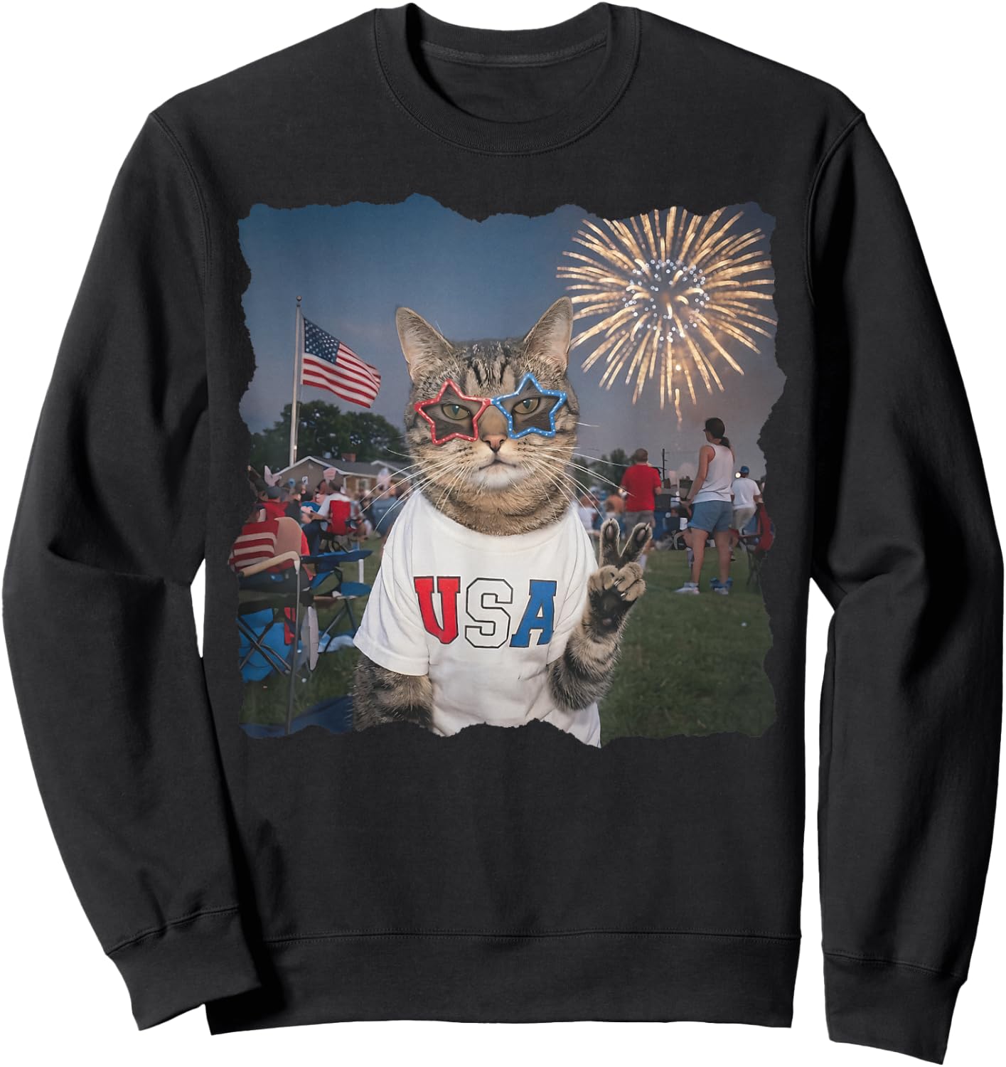 4th of July USA 250 Years Fireworks Funny Patriotic Cat Meme Sweatshirt - Sweatshirt | Black