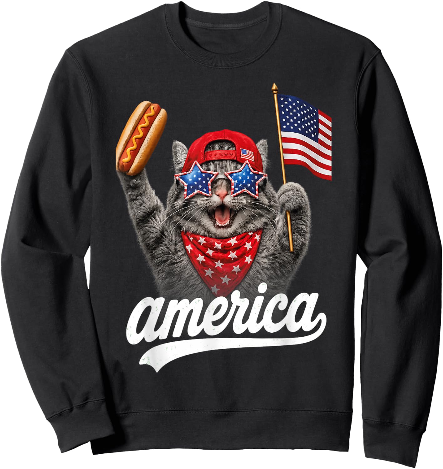 Funny Cat & Hot Dog Patriotic Cat USA Flag Sweatshirt - Sweatshirt | Black