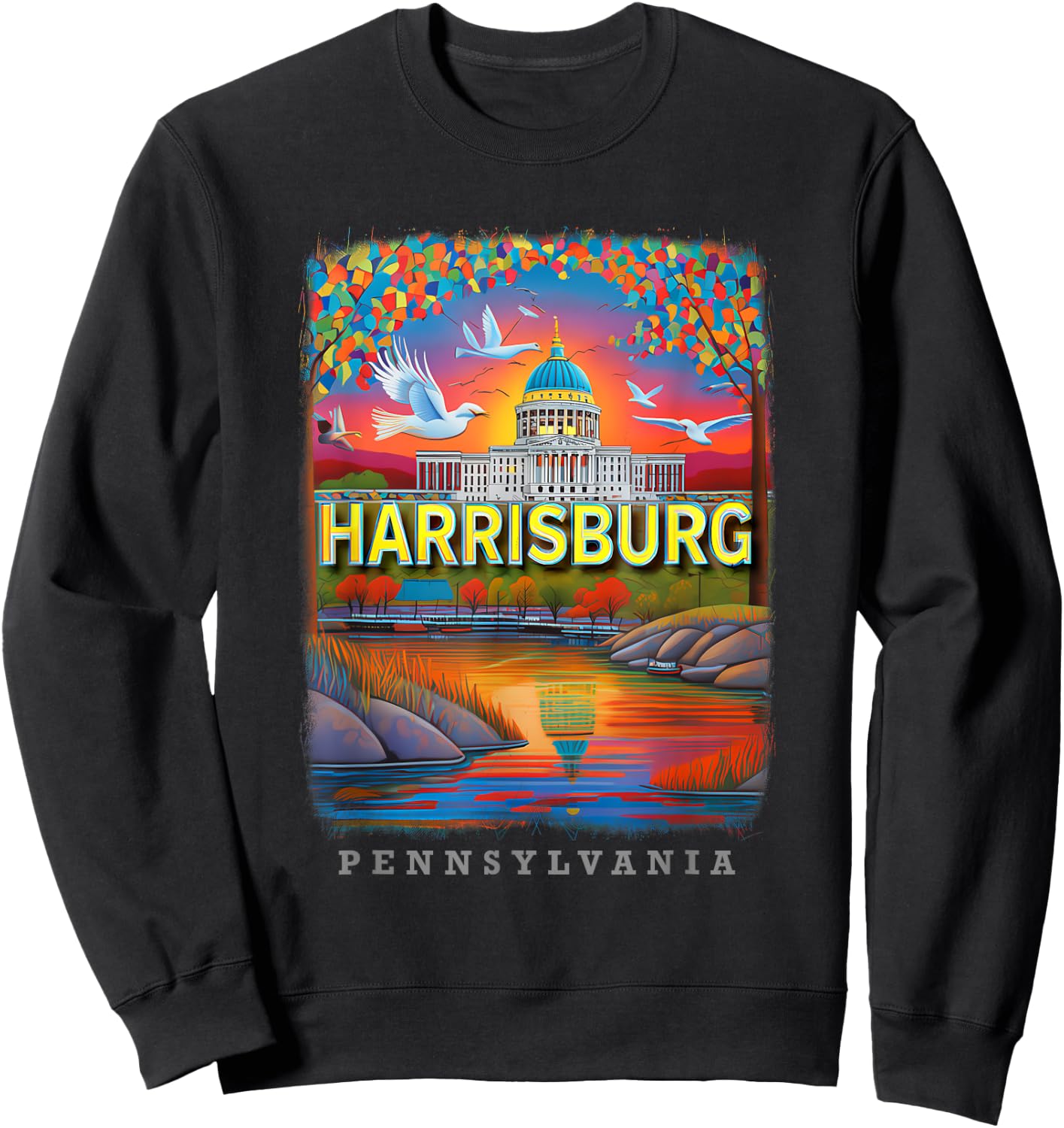 Harrisburg Pennsylvania PA Riverside Reflections SD071 Sweatshirt - Sweatshirt | Black