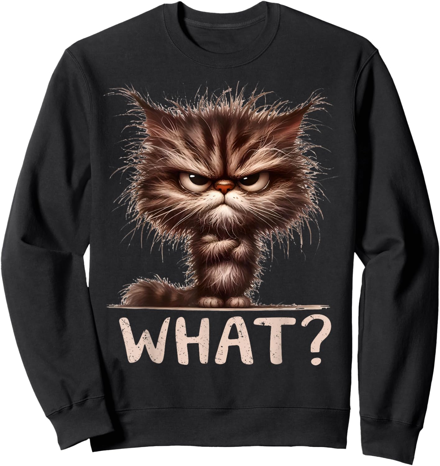 Cat What? Funny Annoyed Looking Cats Sarcasm Humor Saying Women Kids Sweatshirt - Sweatshirt | Black