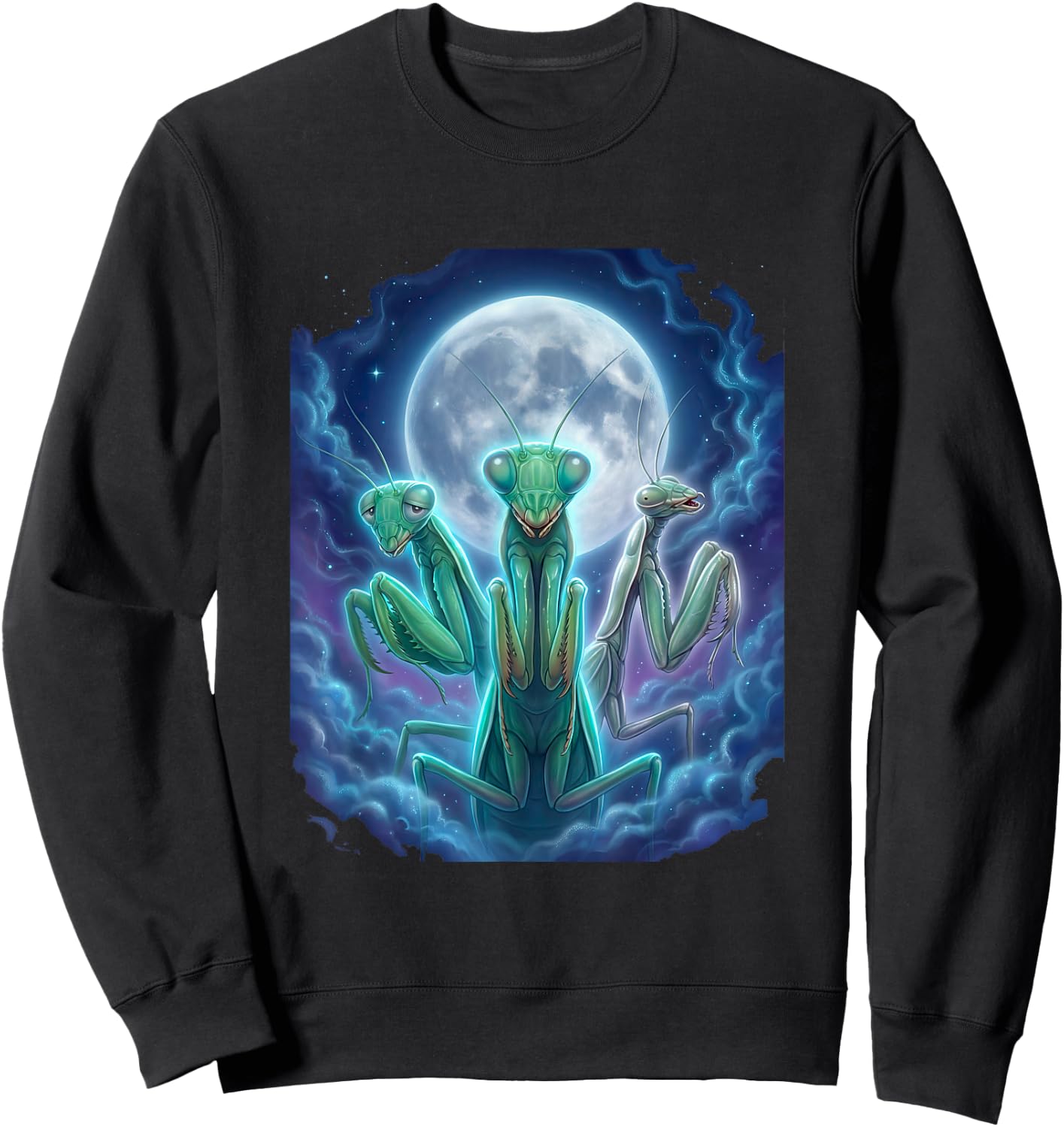 Praying Mantis Moon Cosmic Dreamy Graphic Sweatshirt - Sweatshirt | Black