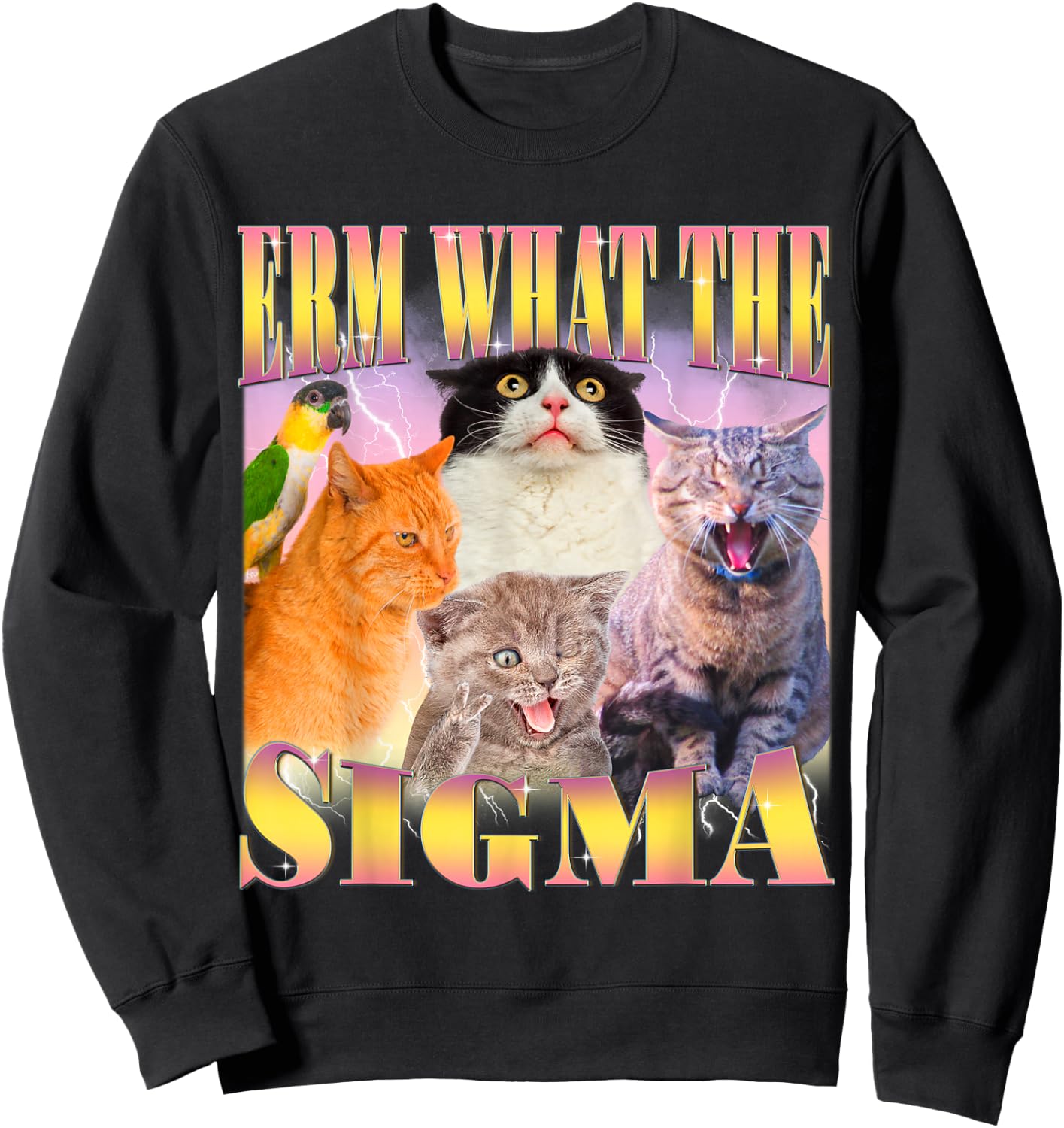 Cat Erm, What The Sigma? Funny Meme Ironic Humour Specific , Black, S Sweatshirt - Sweatshirt | Black