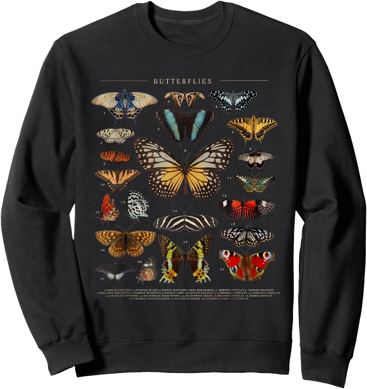 Butterfly Monarch Butterflies Colorful Sweatshirt - Sweatshirt | Black