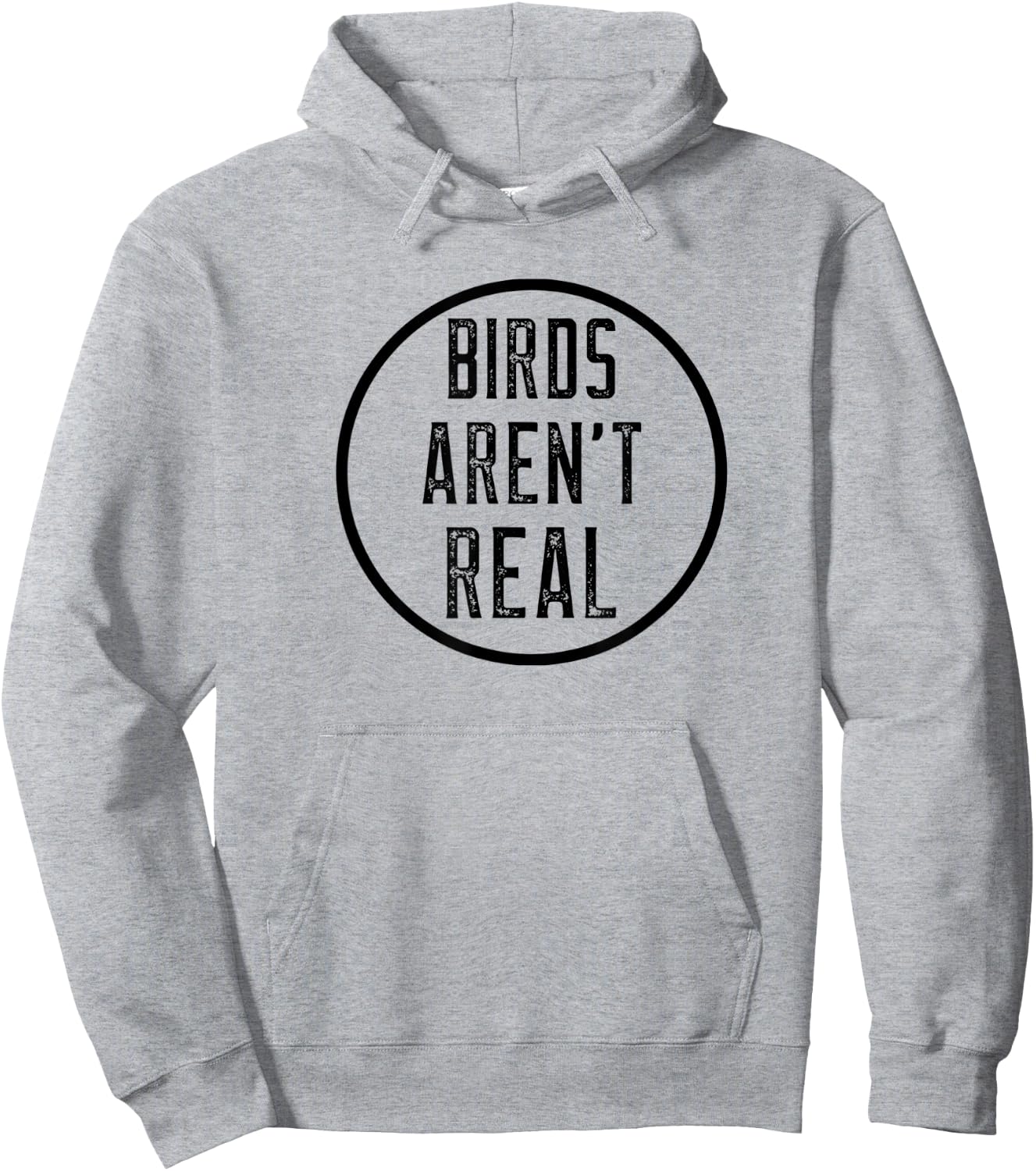 Birds Aren't Real Conspiracy Gen Z Design Hoodie - Hoodie | Ash