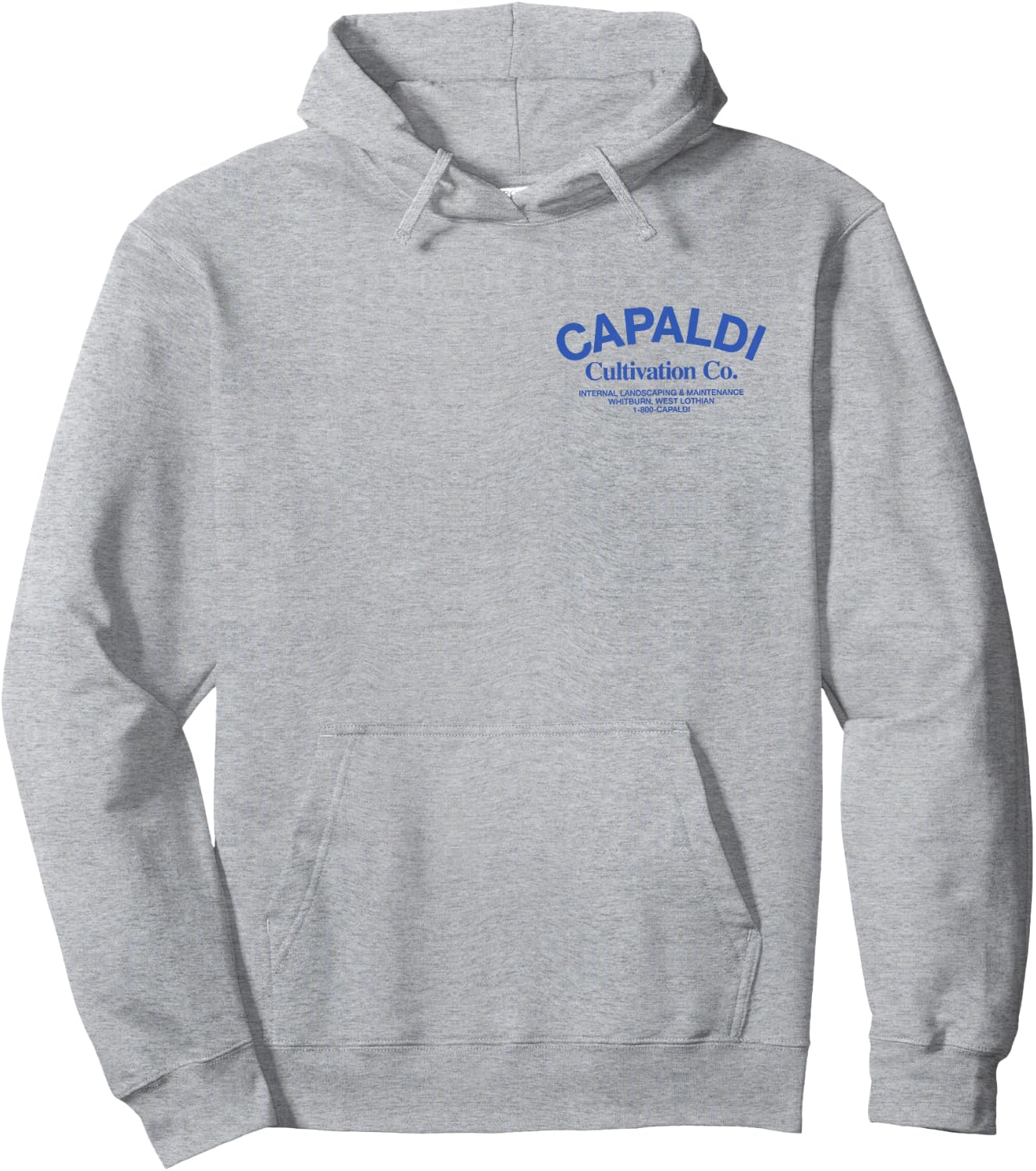 Lewis Capaldi Cultivation CO. Hoodie - Hoodie | Ash