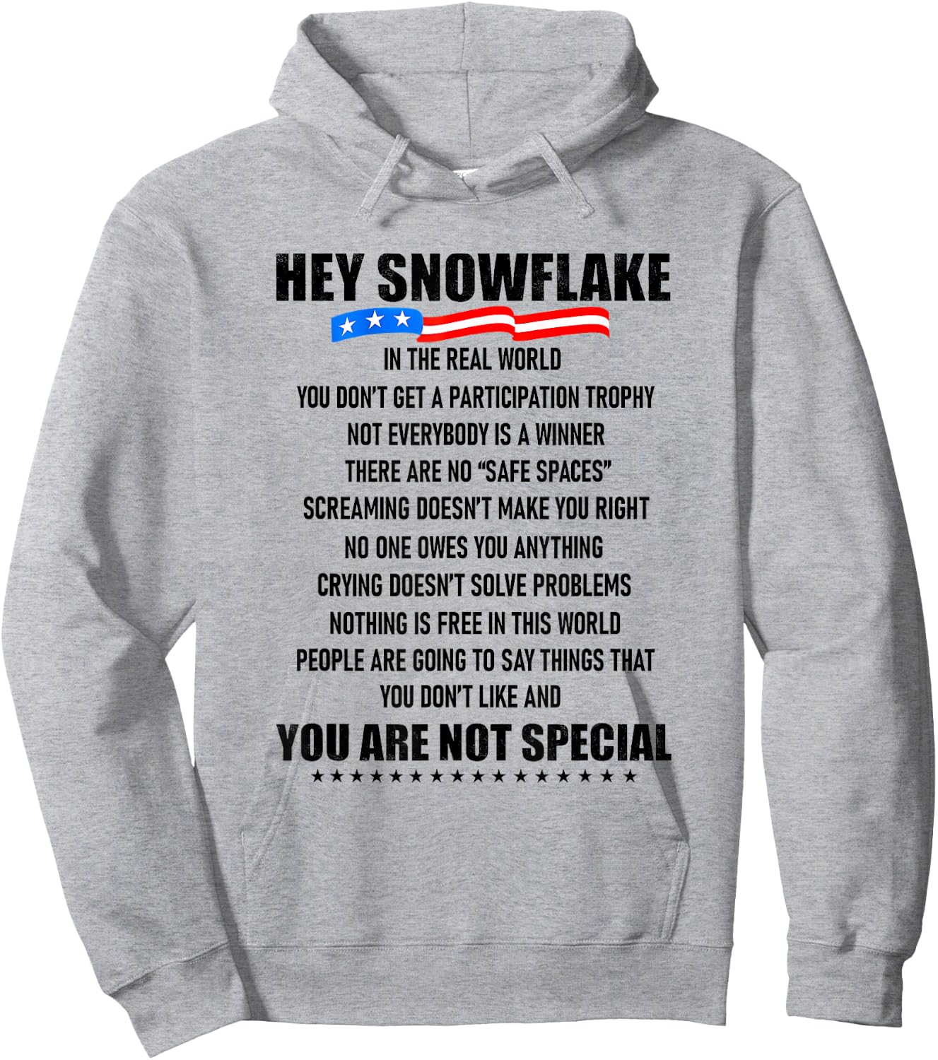 Hey Snowflake in The Real World You Don't Get A Hoodie - Hoodie | Ash