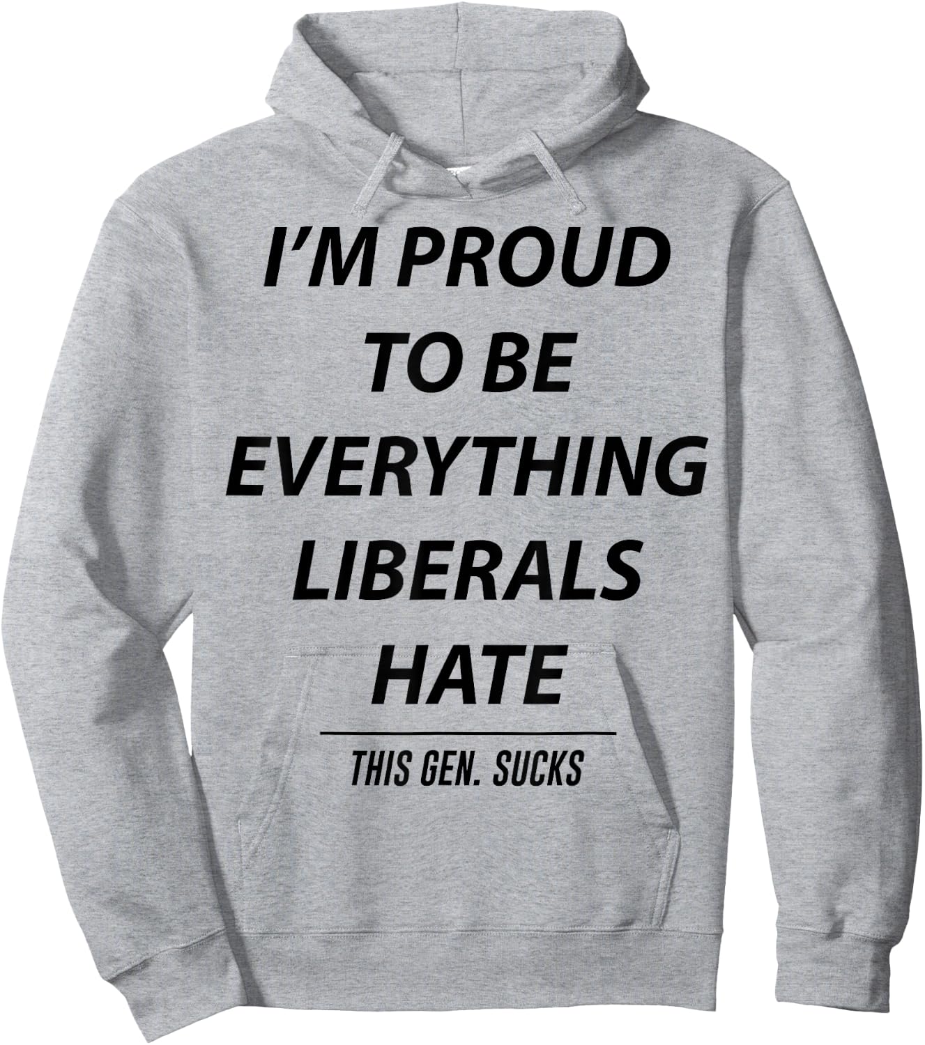 I'm Proud To Be Everything Liberals Hate This Gen Sucks Hoodie - Hoodie | Ash