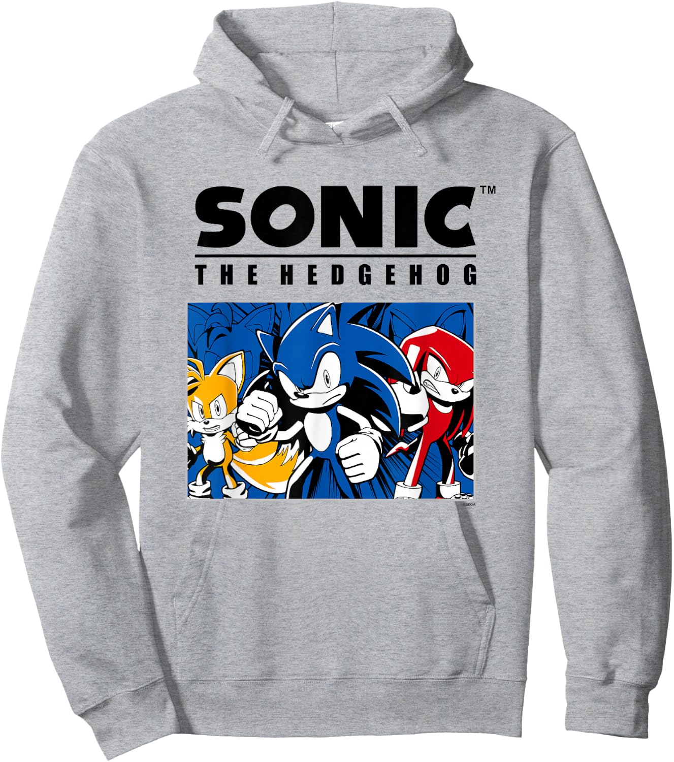 Sonic The Hedgehog Main Trio Heroic Group Portrait Hoodie - Hoodie | Ash