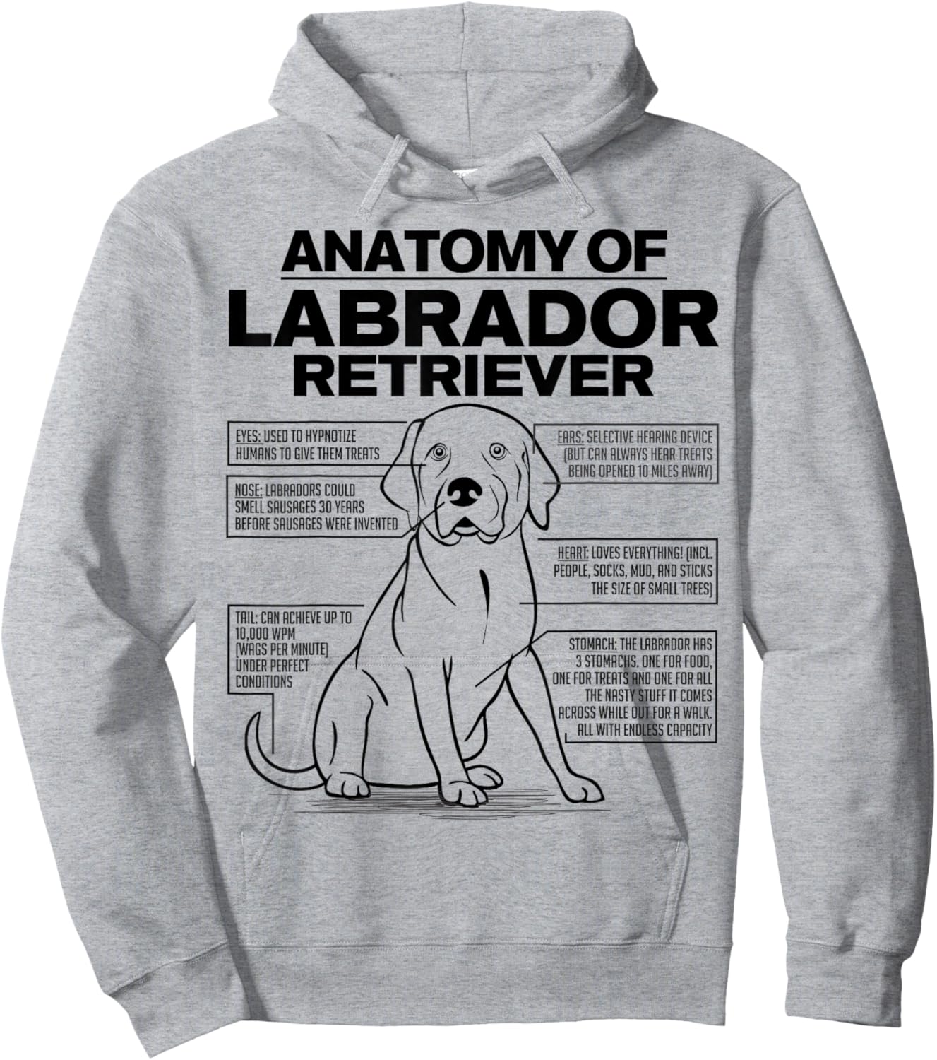 Anatomy of a Labrador Retriever Funny Dog owner gifts shirt Hoodie - Hoodie | Ash