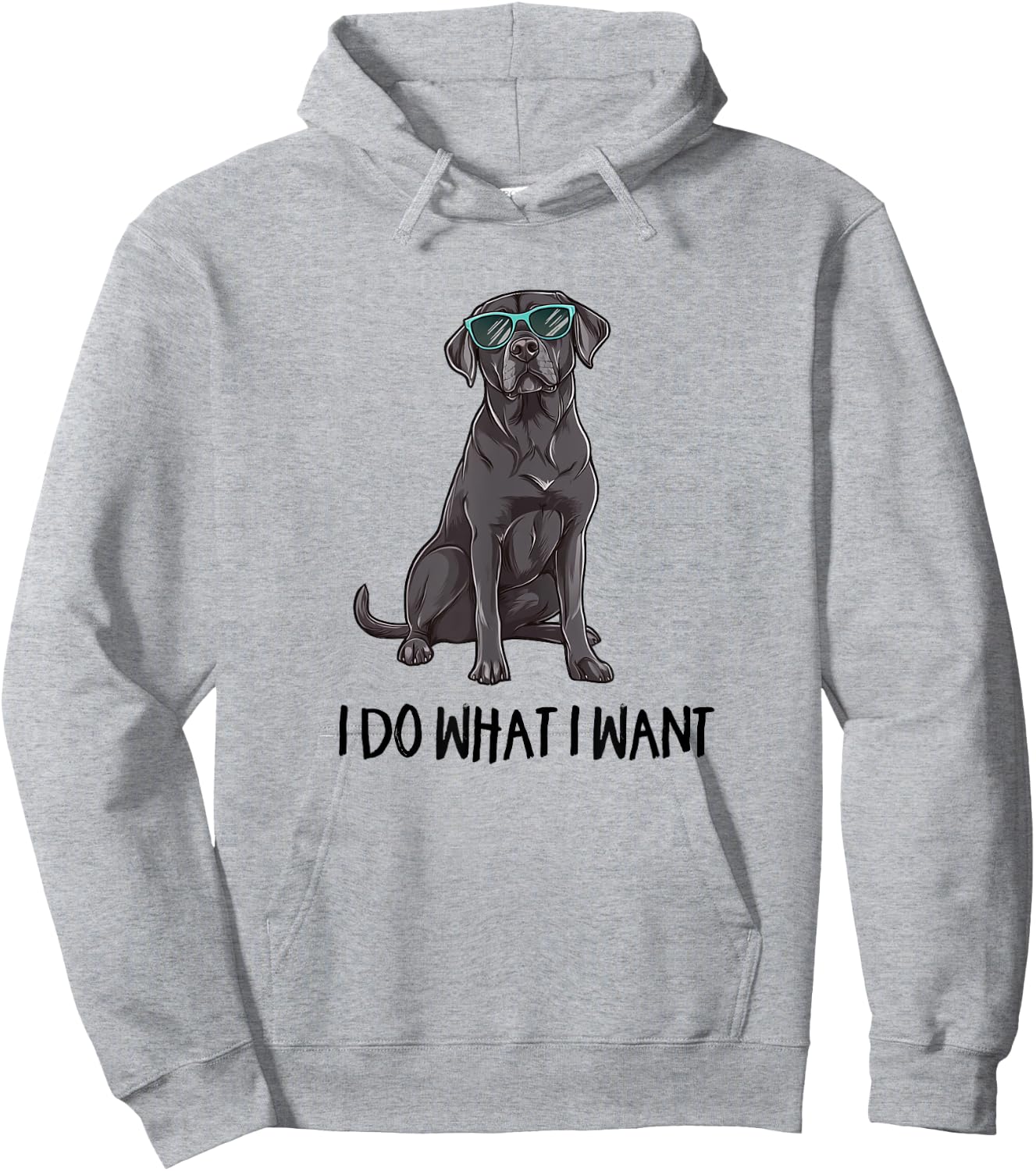 & Kids Funny Do What I Want Black Lab Lover Hoodie - Hoodie | Ash