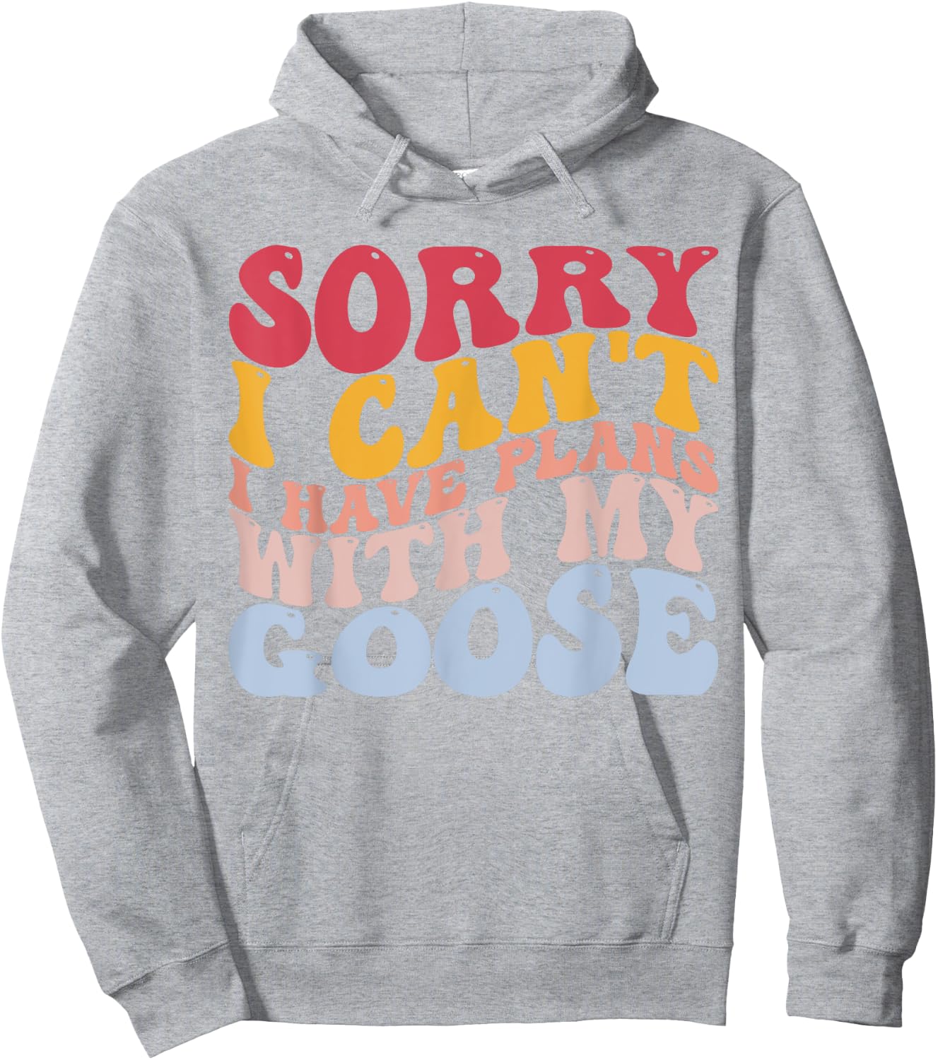 Sorry I Can't I Have Plans With My Goose Goose Lovers Hoodie - Hoodie | Ash
