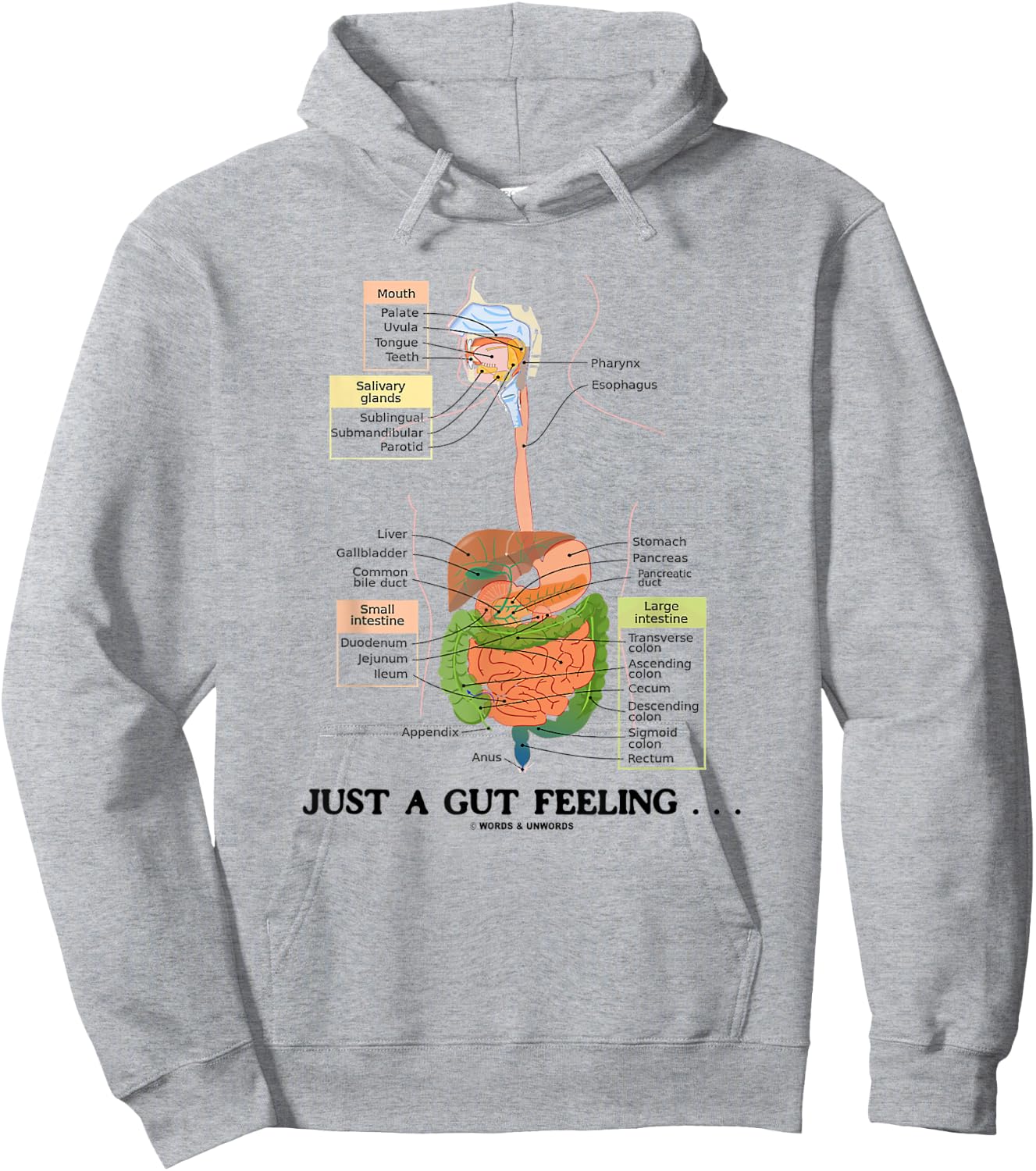 Just A Gut Feeling Digestive System Humor Hoodie - Hoodie | Ash