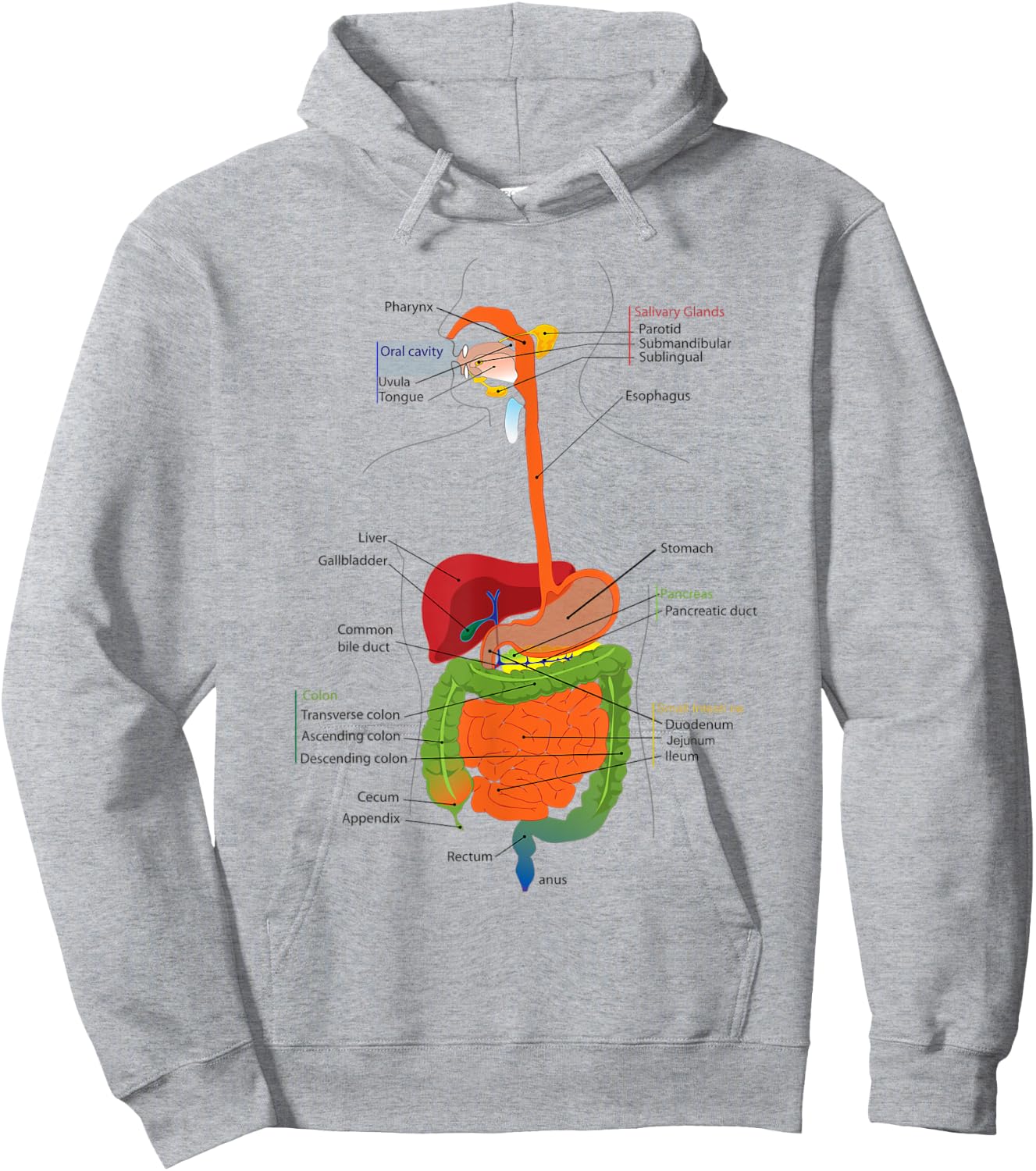 Human Body Digestive System Gastrointestinal Tract Anatomy Hoodie - Hoodie | Ash