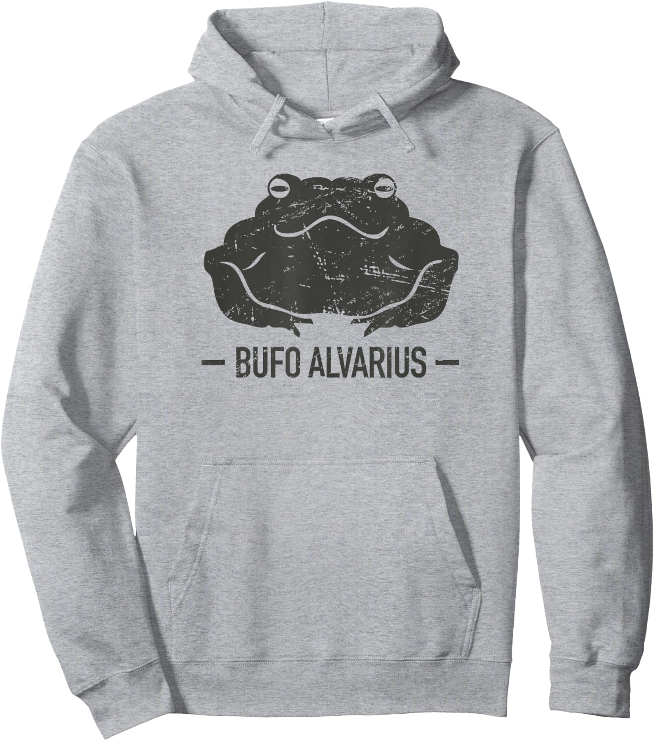 Sonoran Desert Toad / Bufo Alvarius Hoodie - Hoodie | Ash