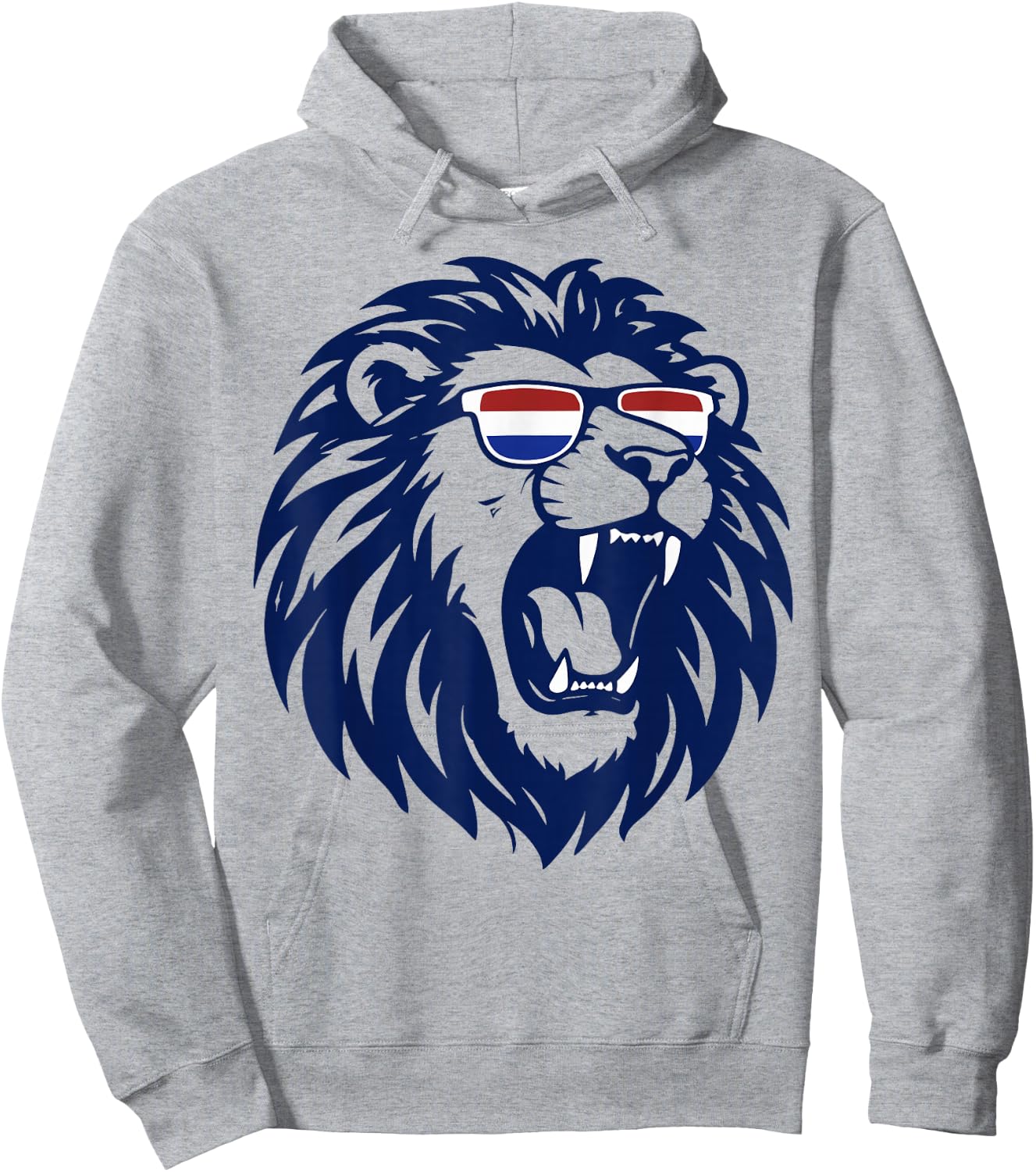 Nederland Netherlands Lion Dutch Holland Vintage Orange Hoodie - Hoodie | Ash