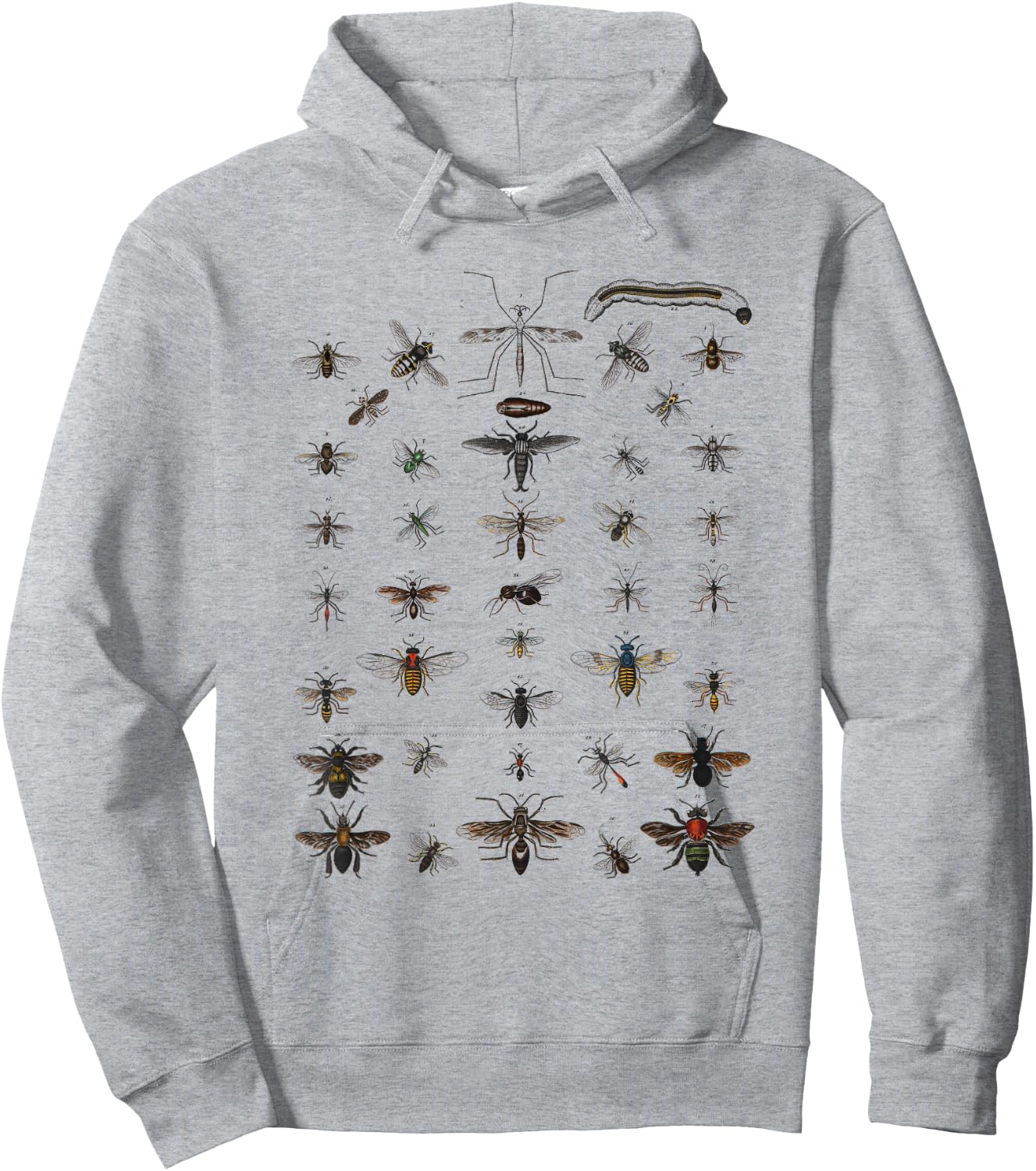 Insects Collection Species Bugs vintage Chart Entomology Hoodie - Hoodie | Ash