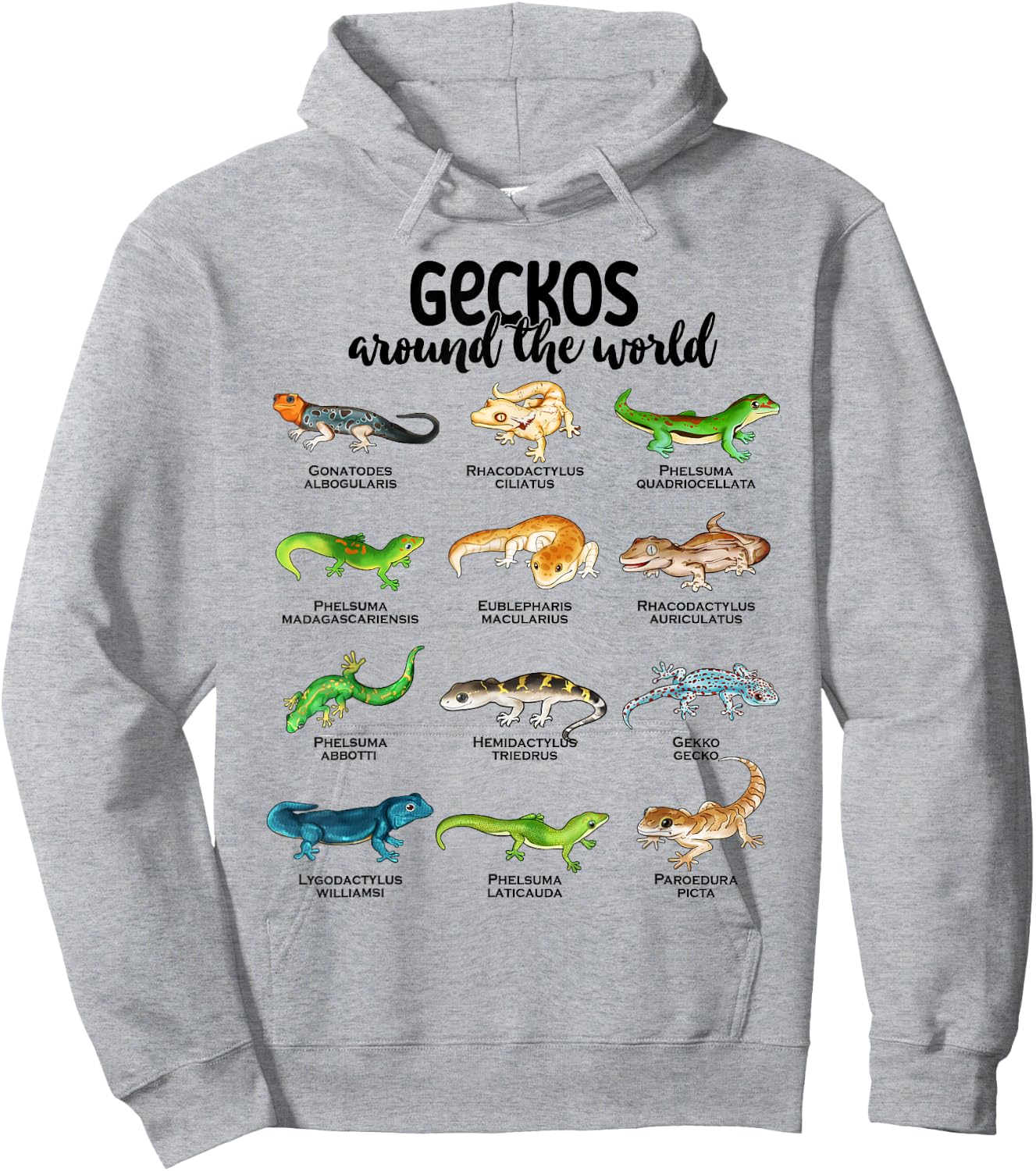 Many different geckos - geckos of the world Hoodie - Hoodie | Ash