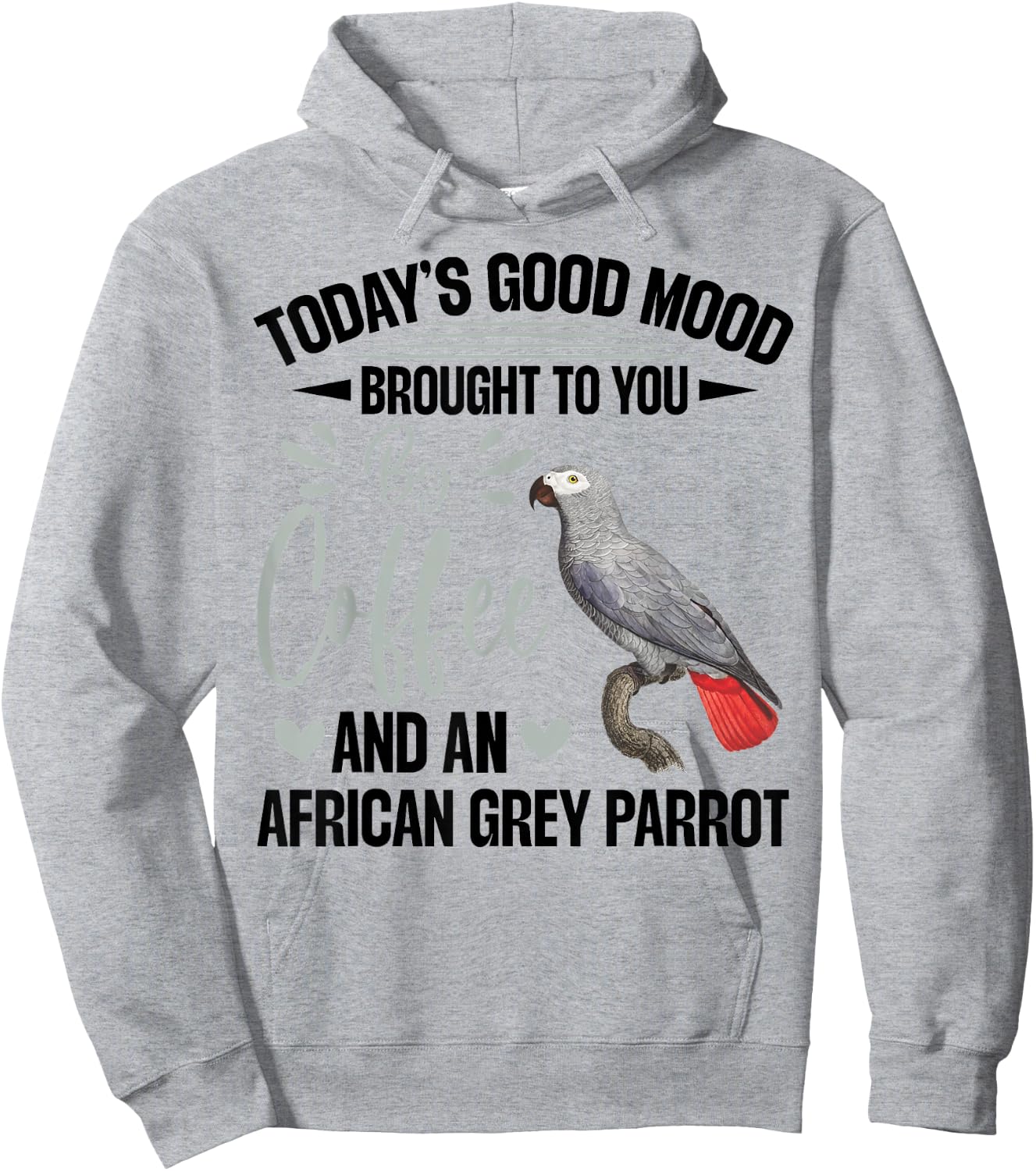 African Grey Parrot Toys African Grey Parrot Owner Parrot Hoodie - Hoodie | Ash