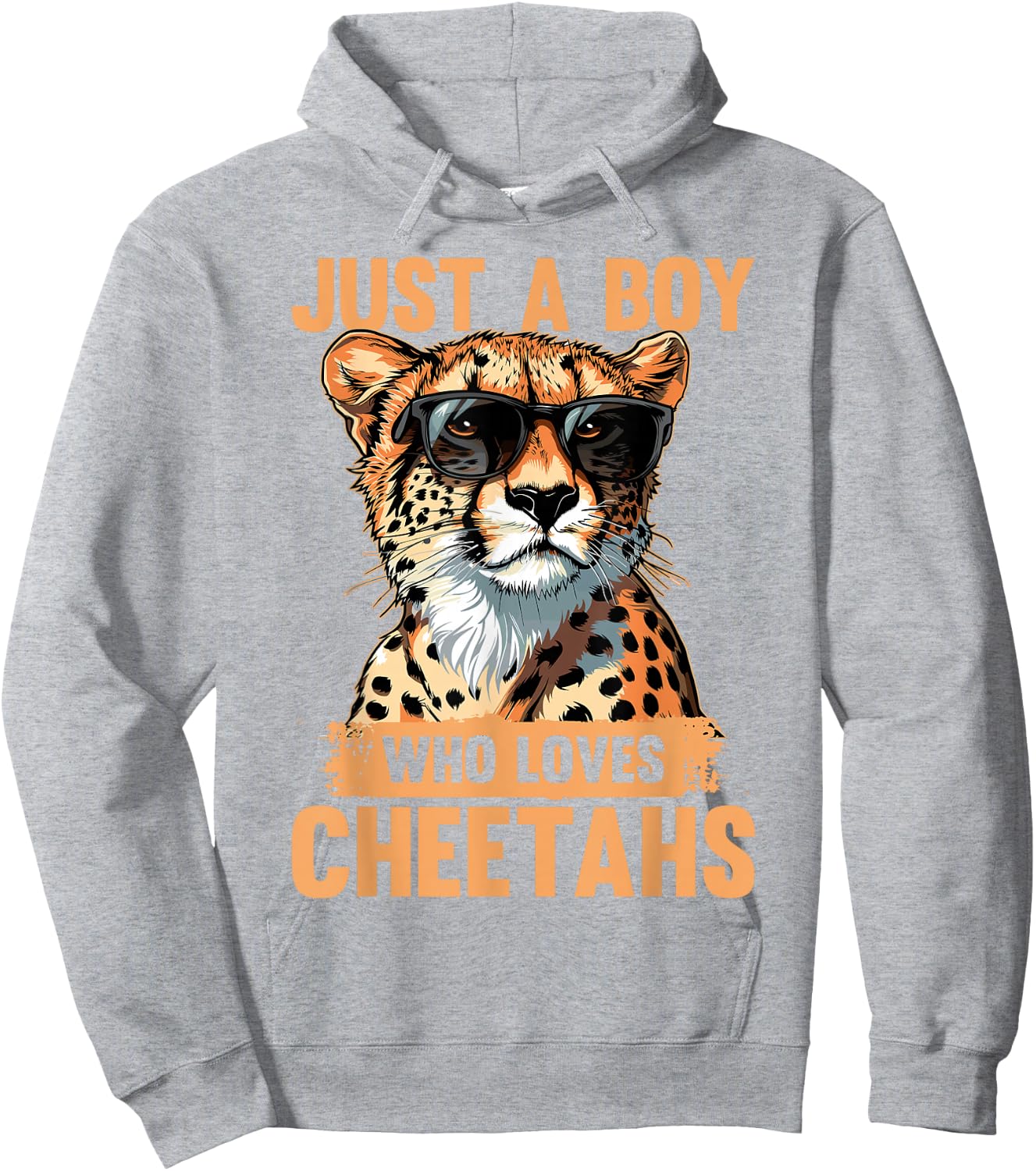 Funny Cheetah Animal Just A Boy Who Loves Cheetahs Hoodie - Hoodie | Ash