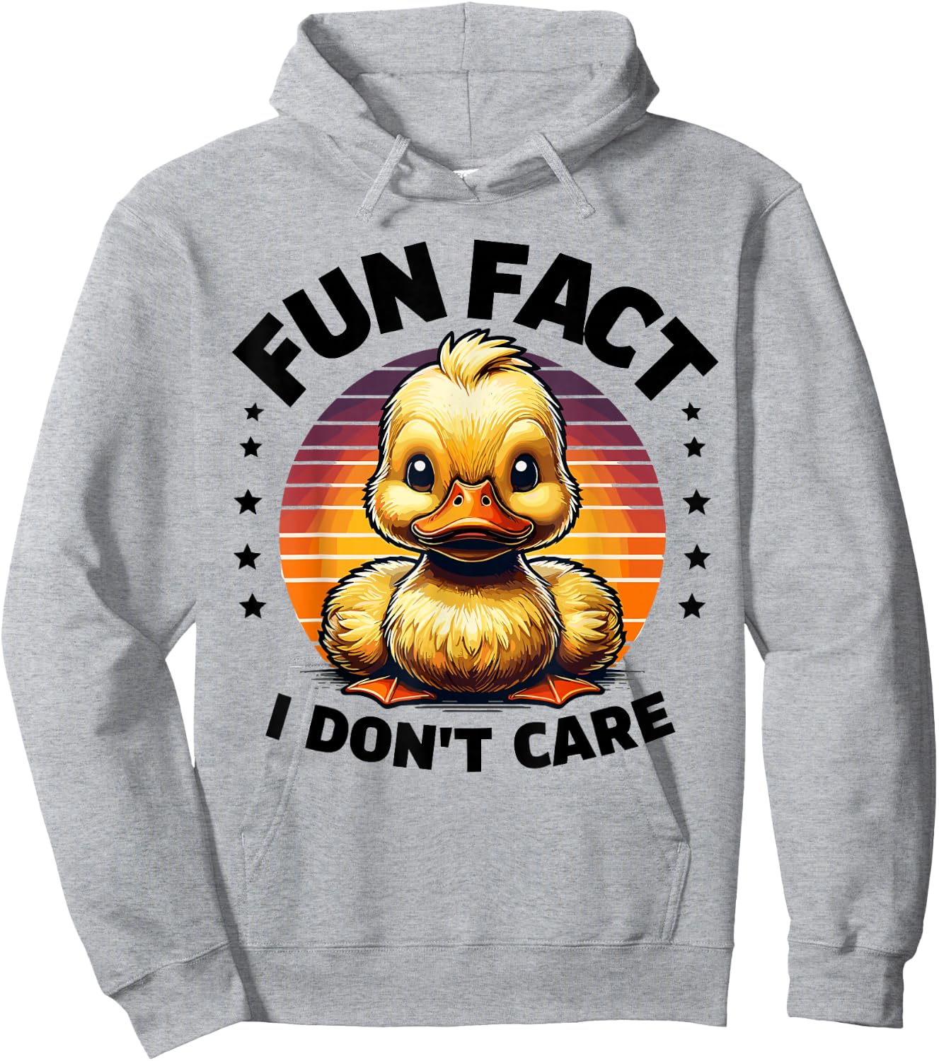 Fun Fact I Don't Care Duck Stuff | Funny Duck Hoodie - Hoodie | Ash