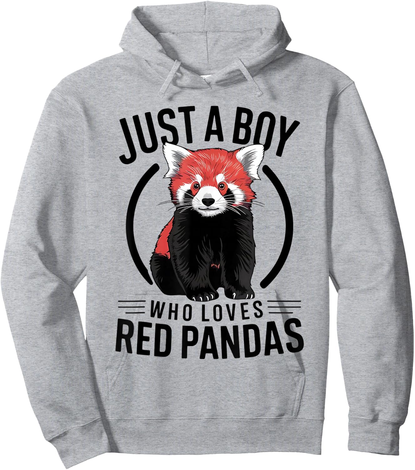 Just A Boy Who Loves Red Pandas Hoodie - Hoodie | Ash