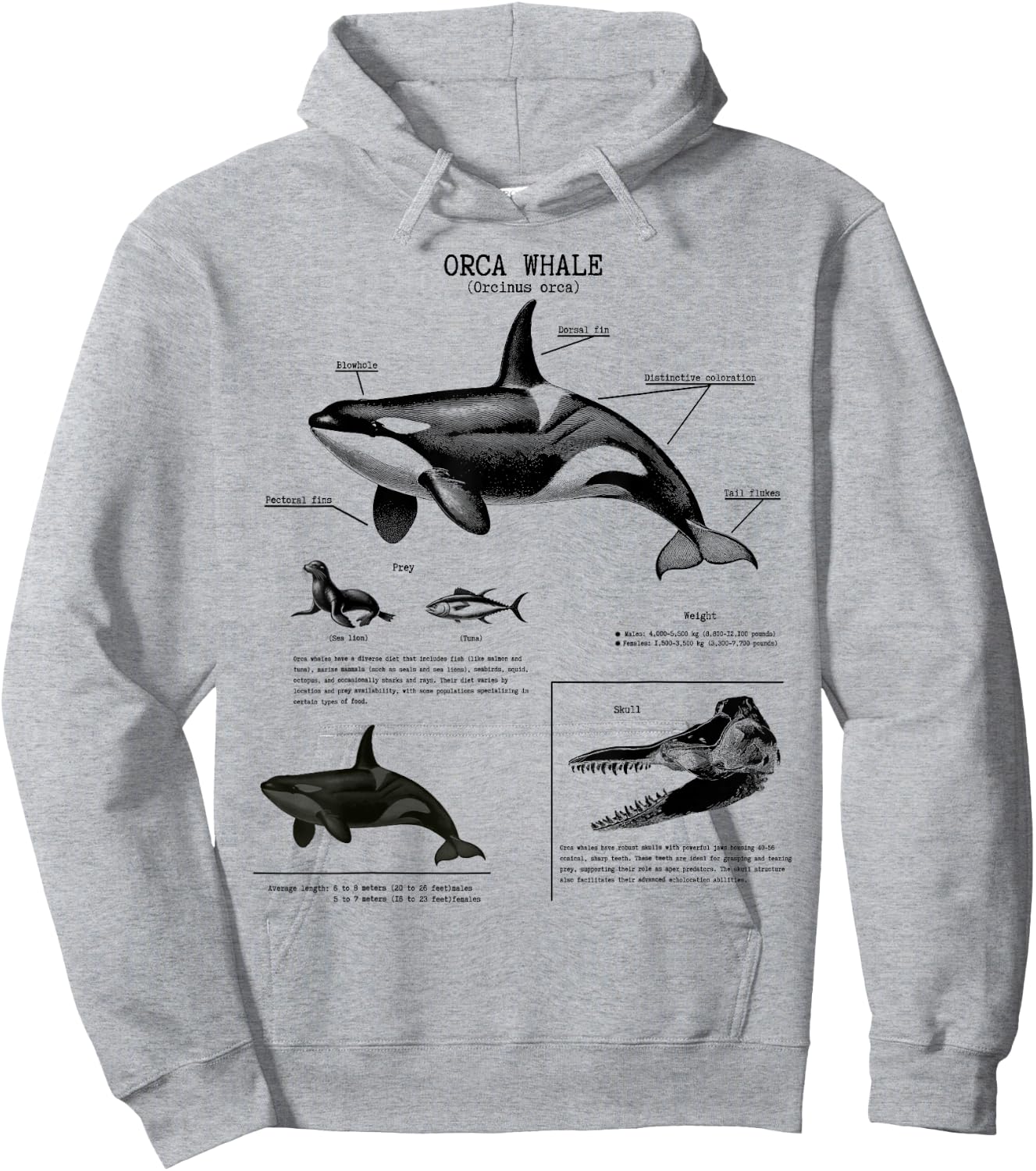 Orca Whale Anatomy Wall Lover Marine Biologist , White Hoodie - Hoodie | Ash