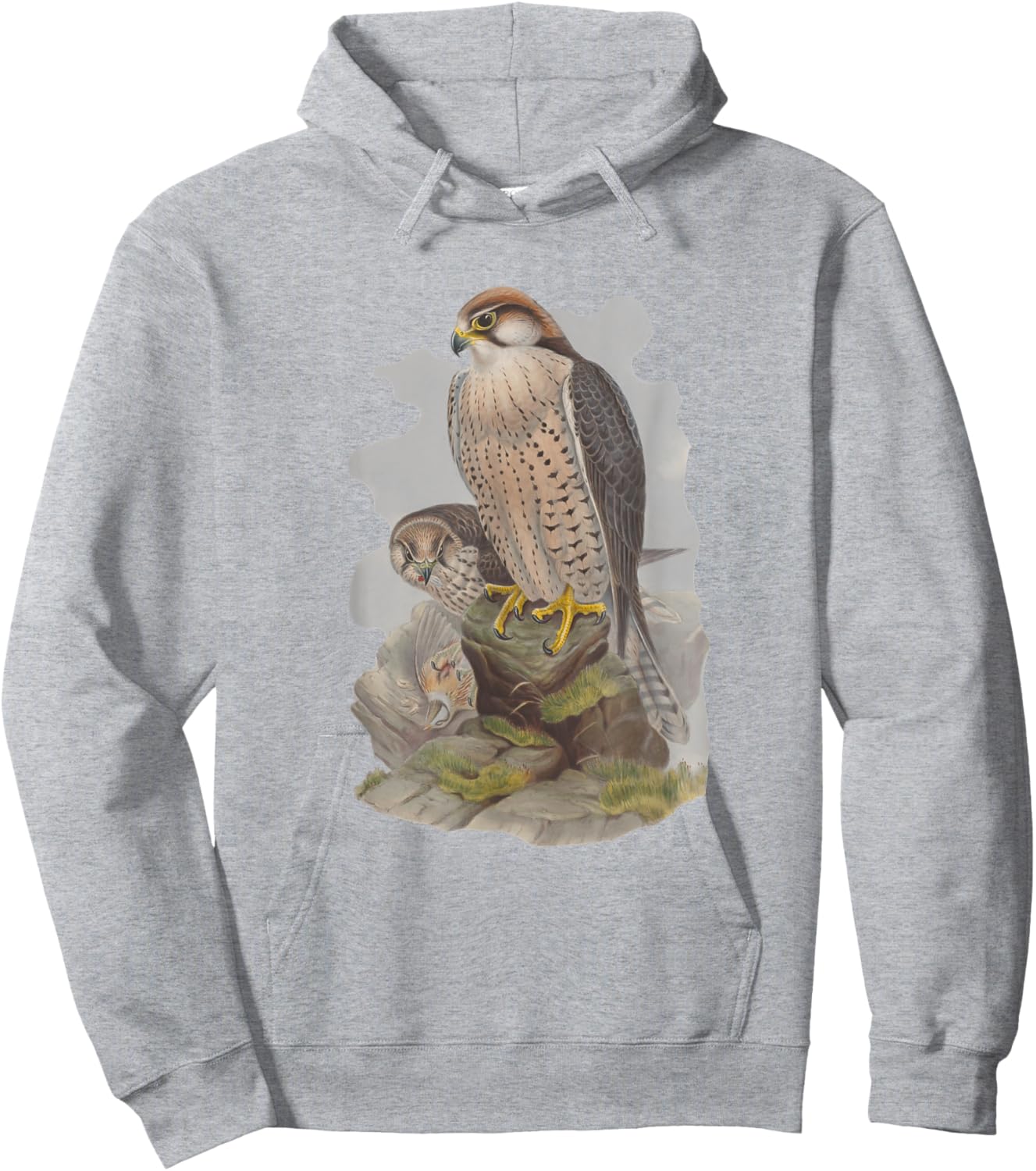 Vintage Falcon Scientific Drawing Shirt - Falconry Lanner Hoodie - Hoodie | Ash