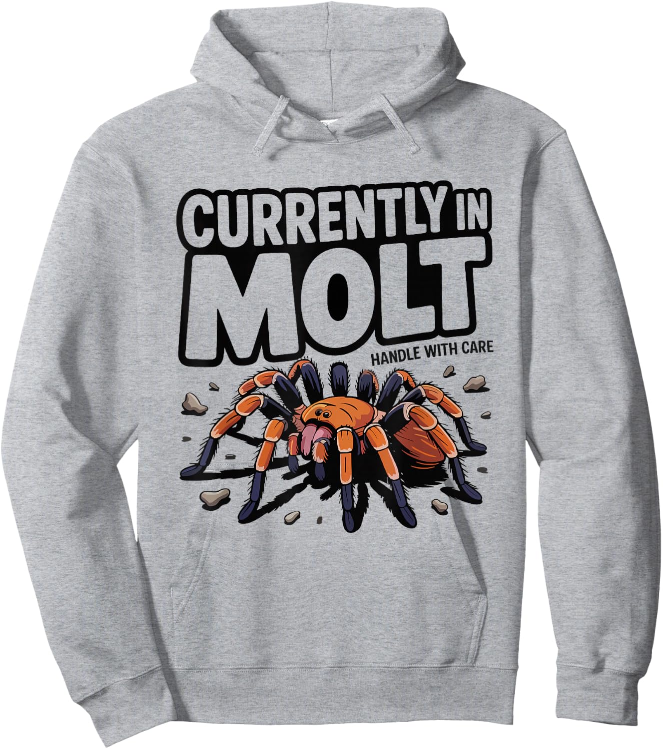 Tarantula Keeper Molting Humor Spider Skins Graphic Molt Hoodie - Hoodie | Ash