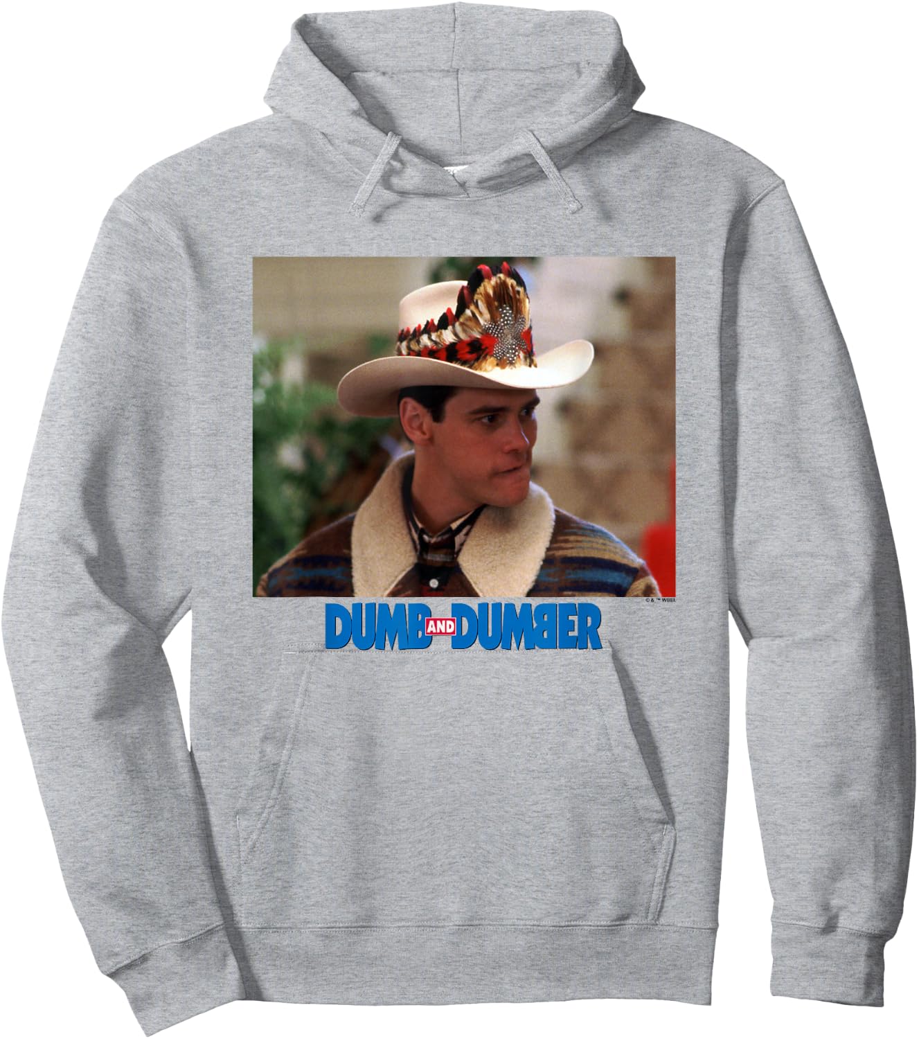 Dumb and Dumber Lloyd Christmas Dressed As Cowboy Scene Hoodie - Hoodie | Ash