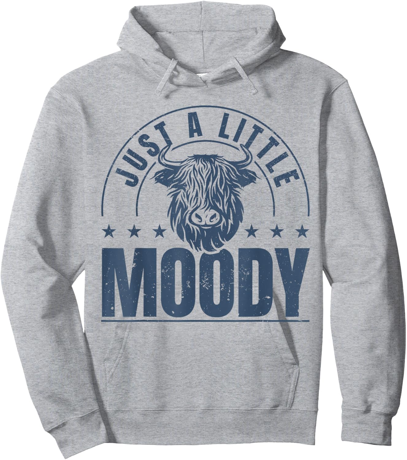 Scottish Highland Cow Just A Little Moody Highland Cows Hoodie - Hoodie | Ash