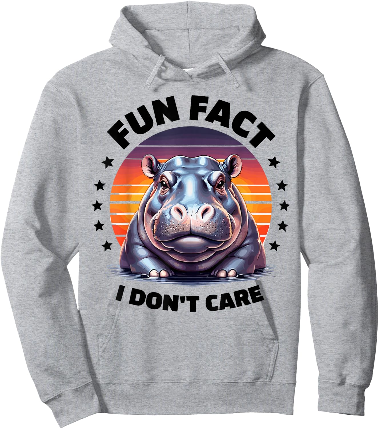 Fun Fact I Don't Care Hippo Stuff | Hippopotamus Funny Hippo Hoodie - Hoodie | Ash