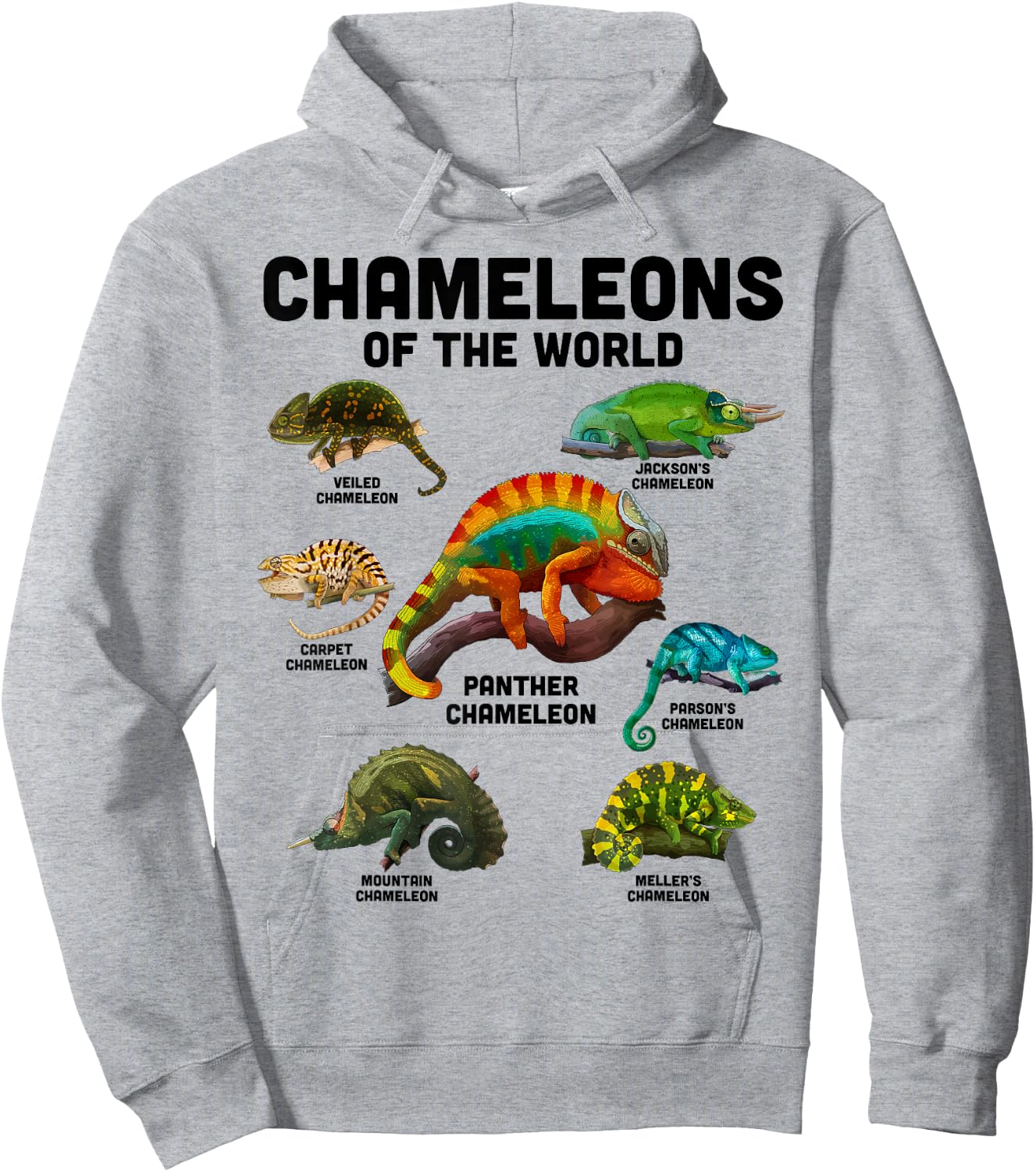 Chameleon Shirt Chameleons of the World Educational Reptile Hoodie - Hoodie | Ash