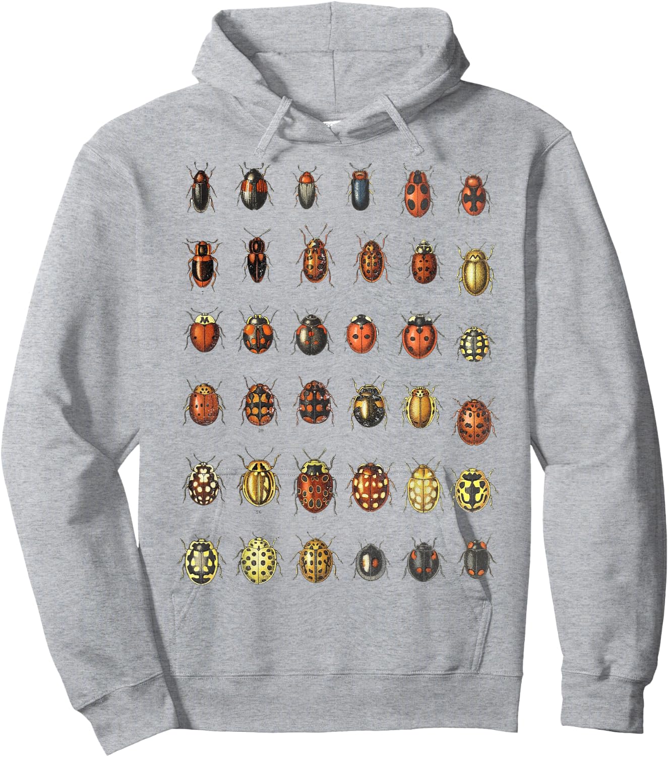 Insects Ladybugs Species Bug Vintage Entomology Entomologist Hoodie - Hoodie | Ash