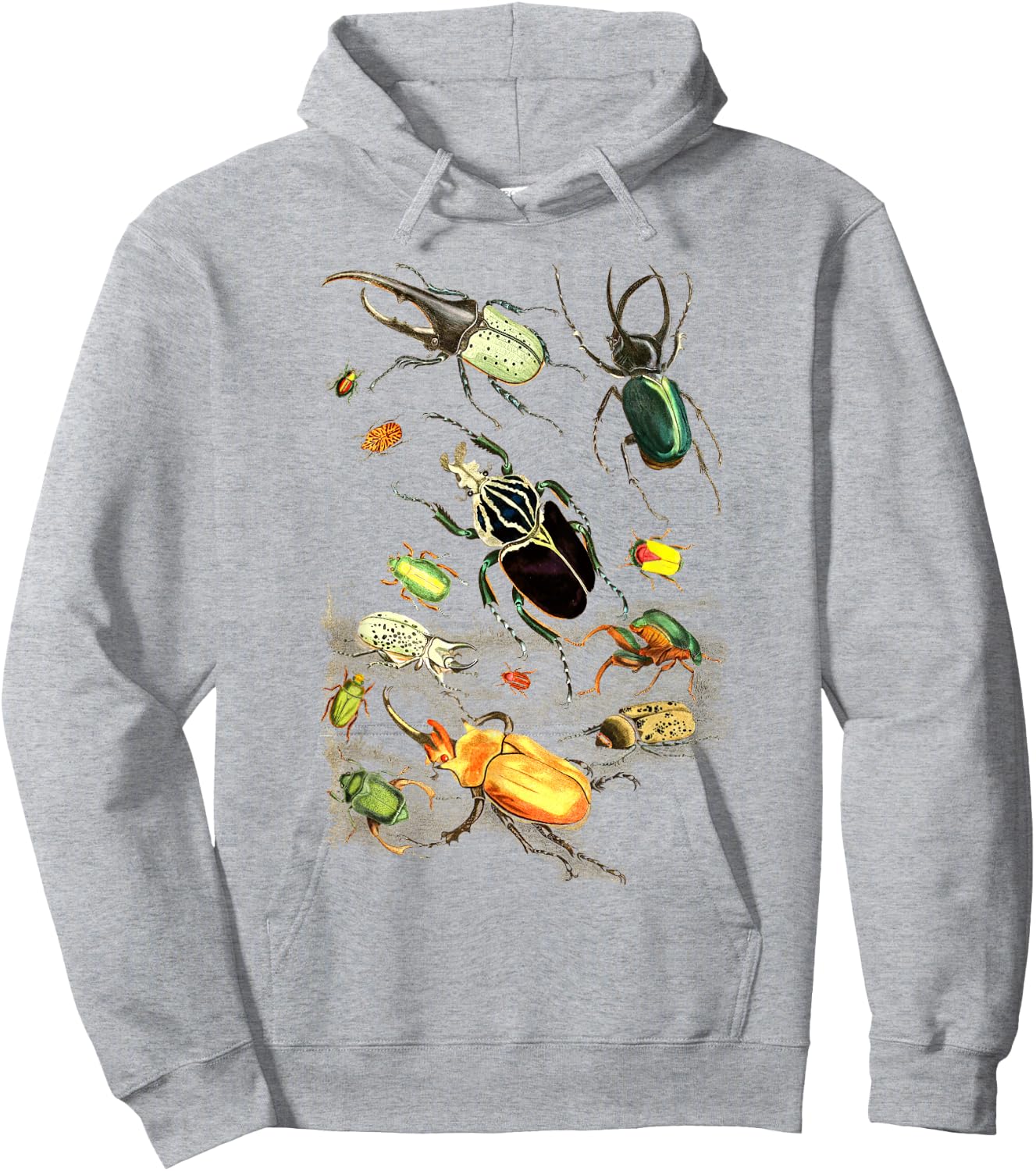 Insects Collection Species Bugs vintage Chart Entomology Hoodie - Hoodie | Ash
