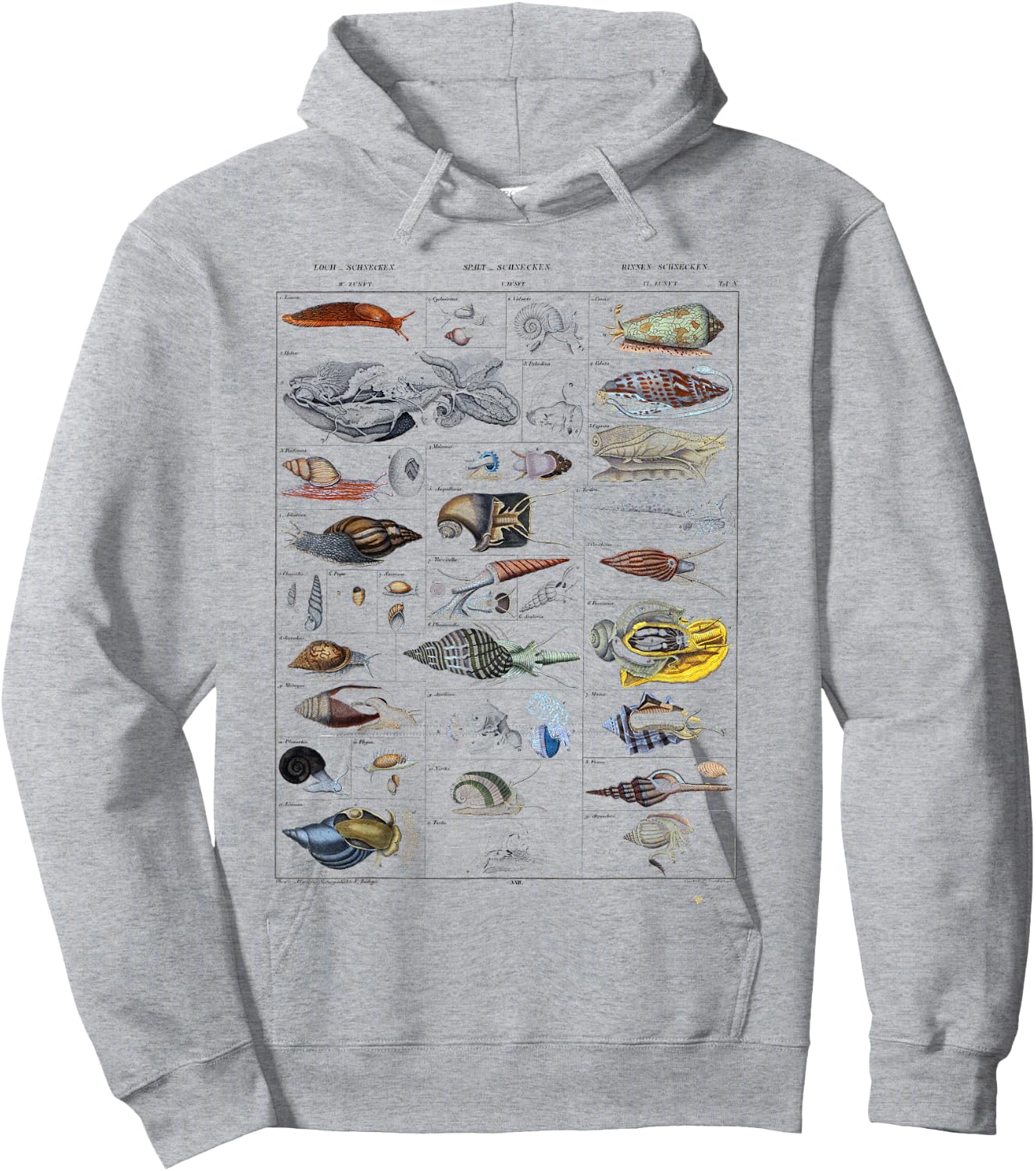 Oceanography Ocean Zoology biologists sailing Mollusk Hoodie - Hoodie | Ash