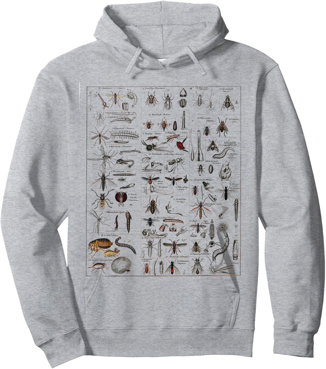 Insects Collection Species Bugs vintage Chart Entomology Hoodie - Hoodie | Ash