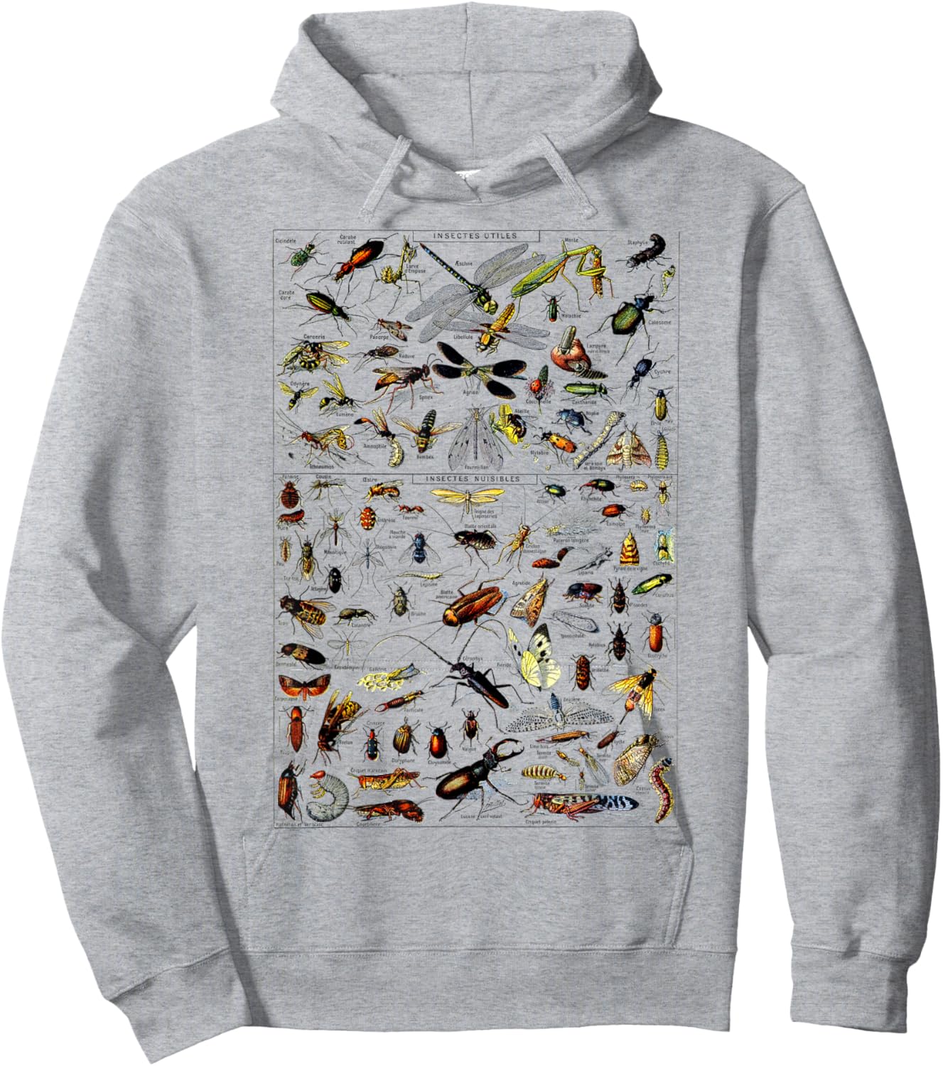 Insects Collection Species Bugs Vintage Chart Entomologie Hoodie - Hoodie | Ash