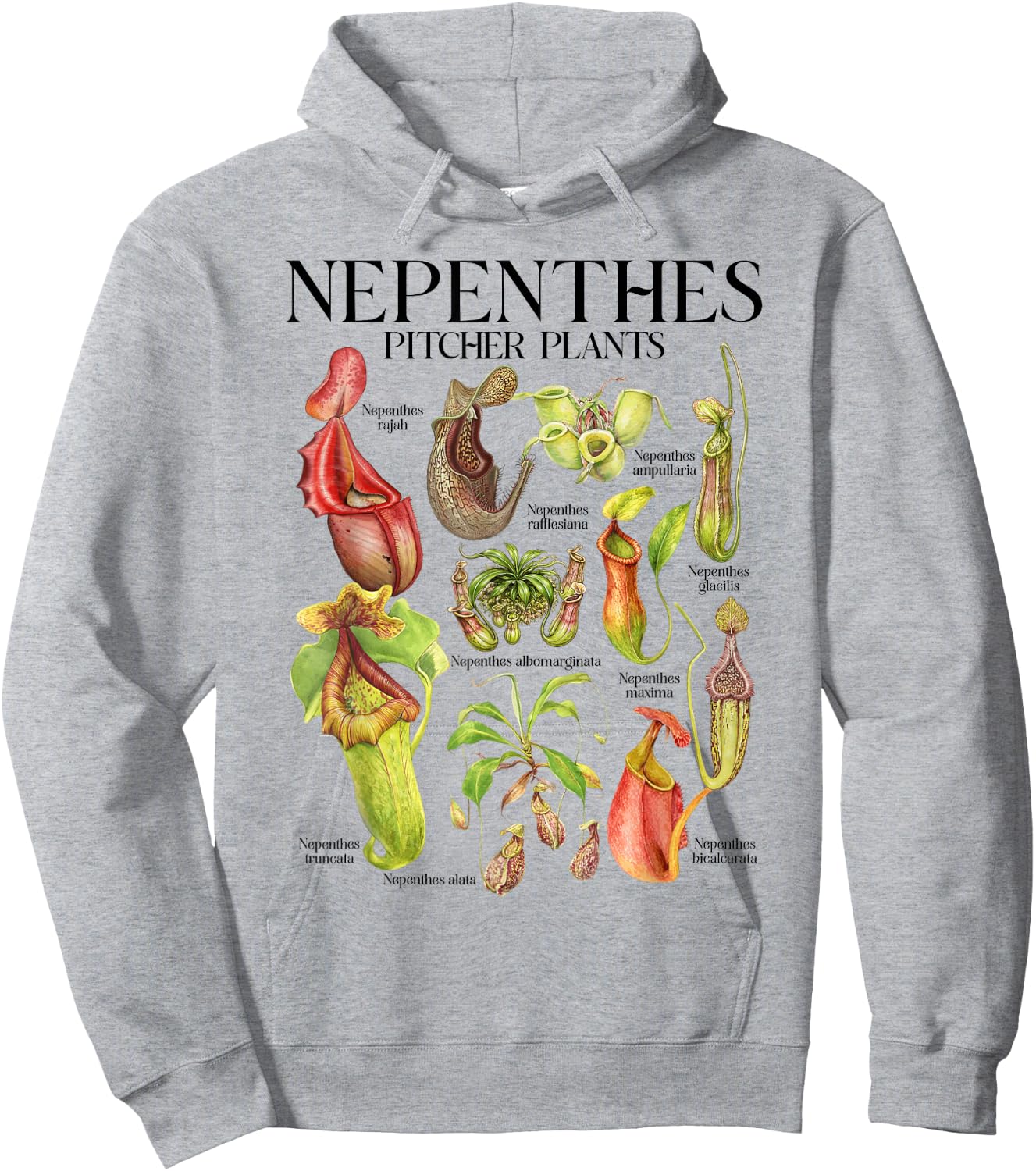 Carnivorous Plant Lover Botanical Nepenthes Pitcher Plants Hoodie - Hoodie | Ash