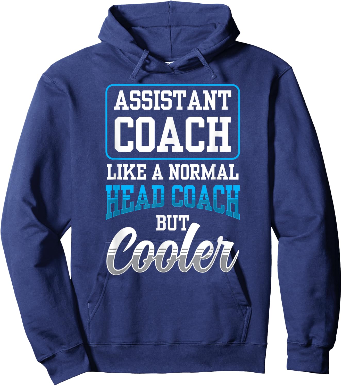 Assistant Coach Like A Normal Head Coach But Coaching Hoodie - Hoodie | Navy