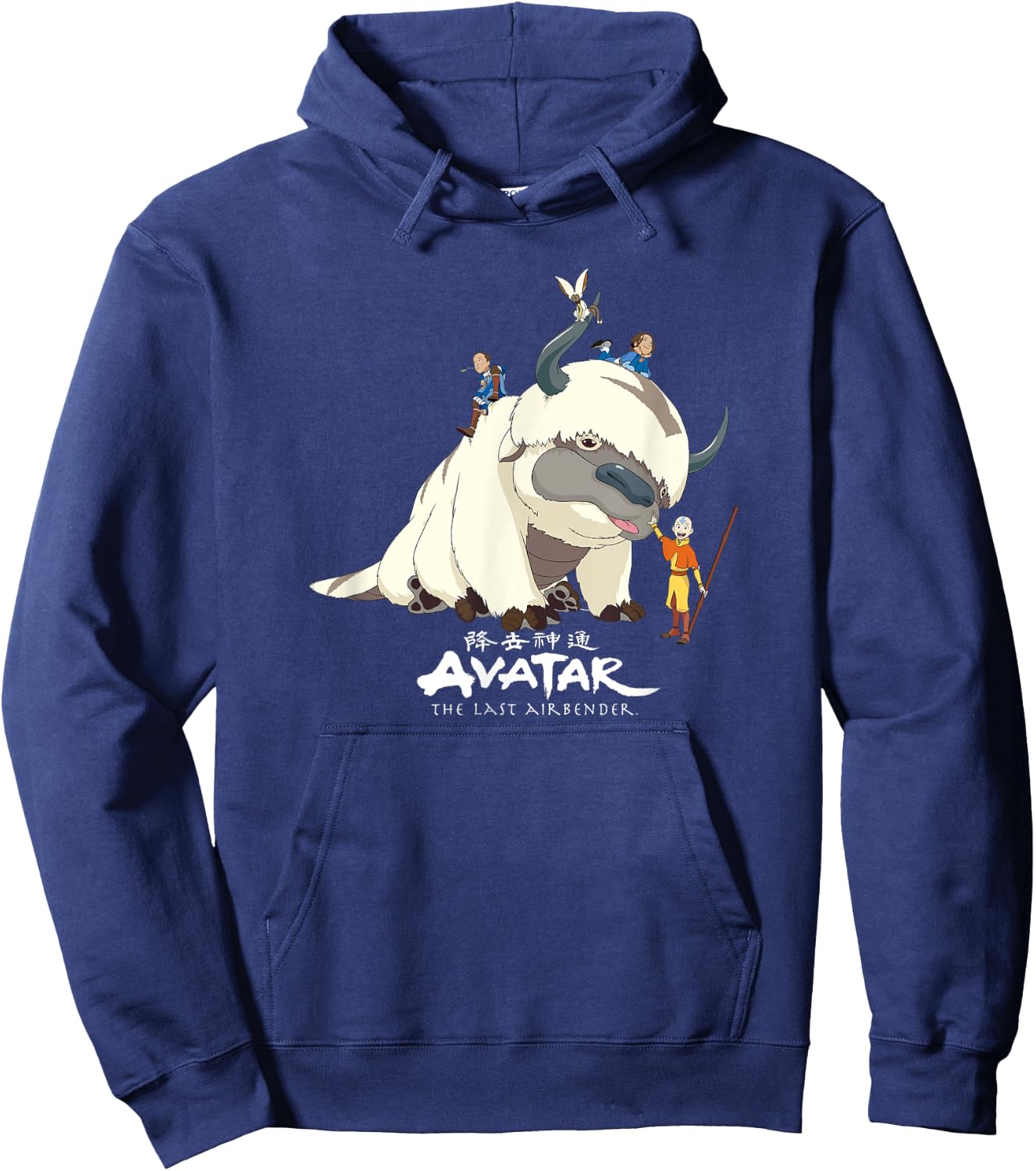 Avatar: The Last Airbender Team Avatar Group Shot Distressed Hoodie - Hoodie | Navy