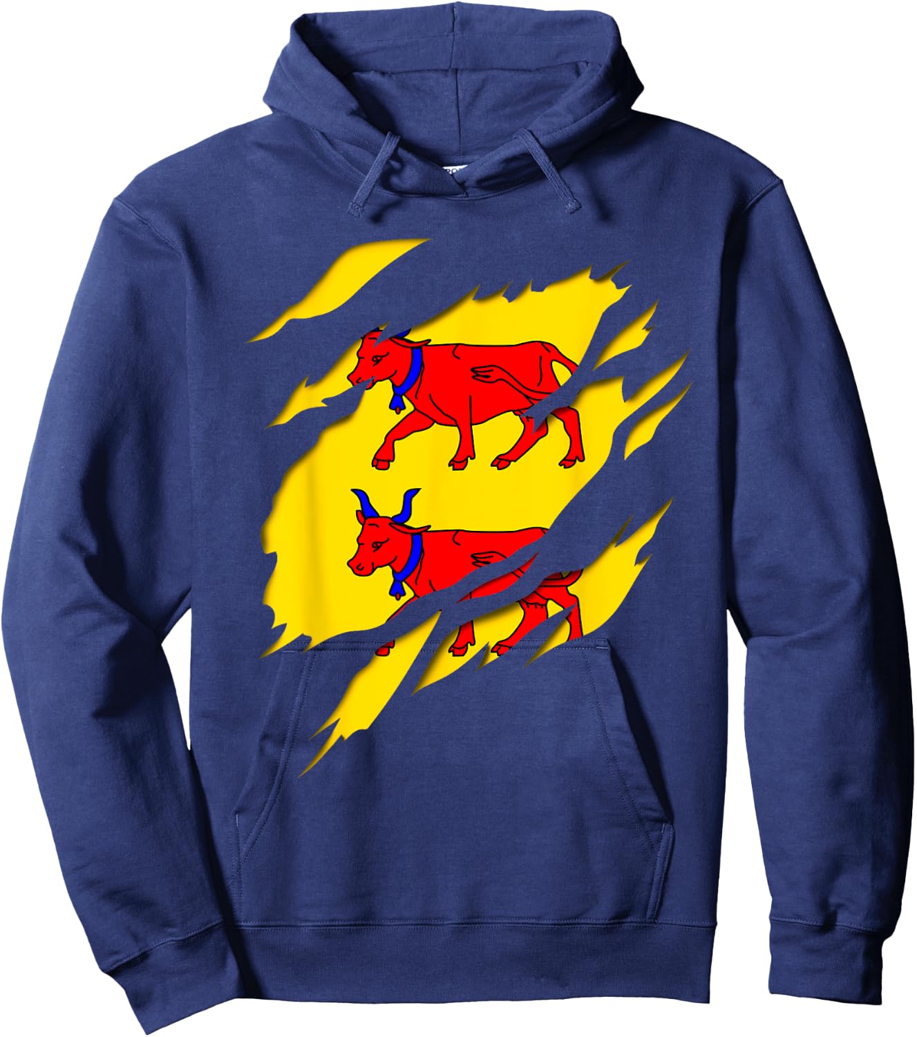Béarn Flag Crest Ripped 3D Effect France Hoodie - Hoodie | Navy