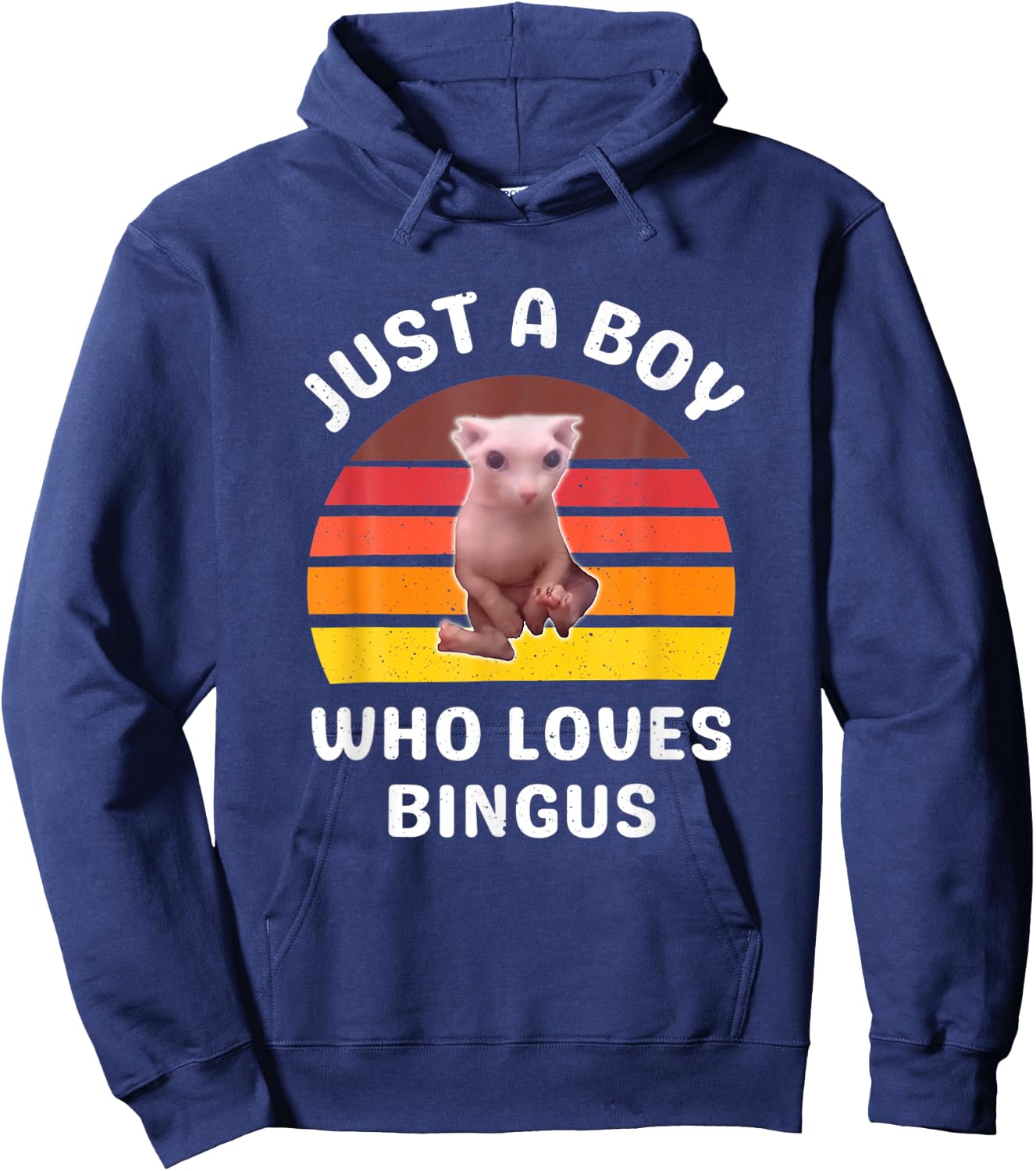 Just A Boy Who Loves Bingus Funny Hairless Sphynx Cat Hoodie - Hoodie | Navy