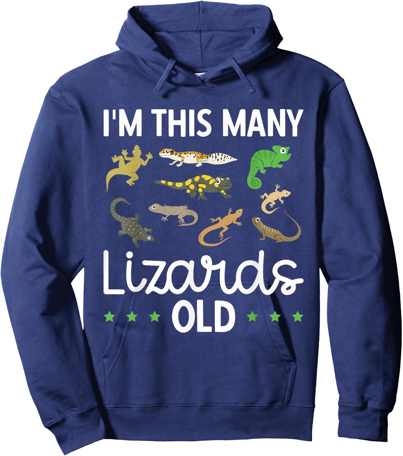 Children's Reptile Lizard Birthday Hoodie - Hoodie | Navy