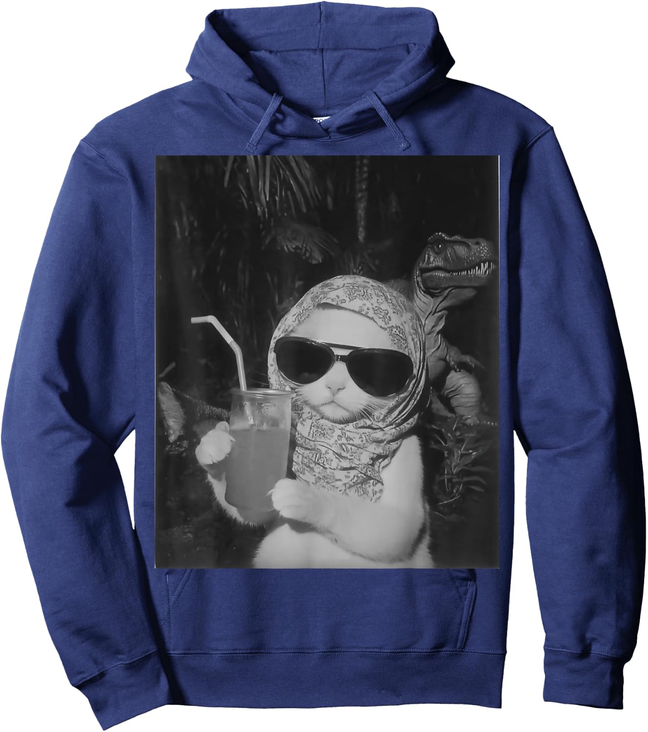 Chill And Cool Cat Drinking Fruit Selfie With Dinosaur T-Rex Women Kids Hoodie - Hoodie | Navy