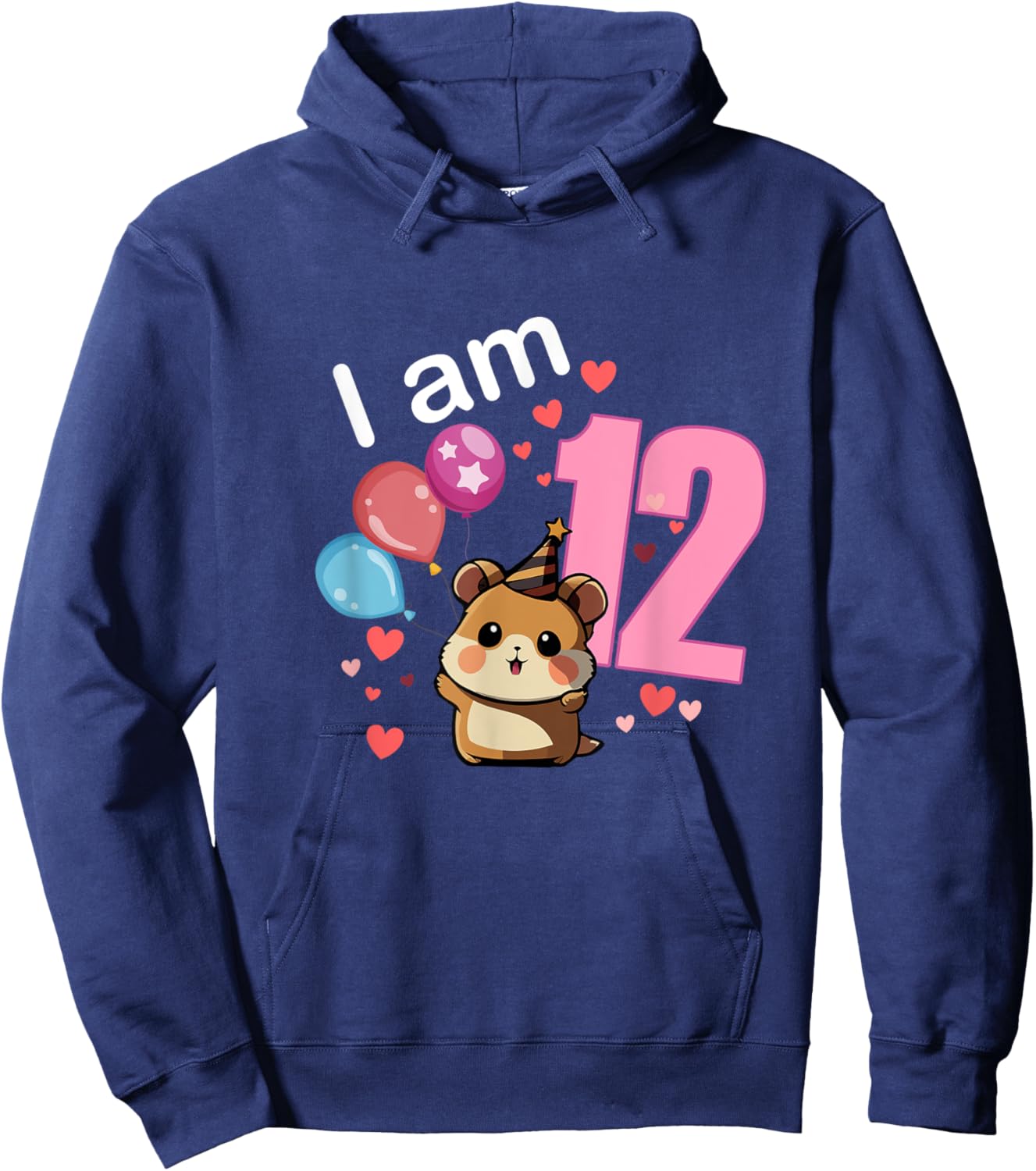 My 12th Birthday Hamster Pet Lovers Party Gifts 12 Years Old Hoodie - Hoodie | Navy