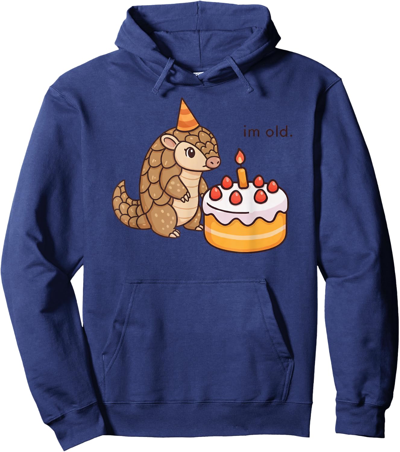 Funny Pangolin Birthday Im Old Bday Cake Animal Boys Girls Hoodie - Hoodie | Navy
