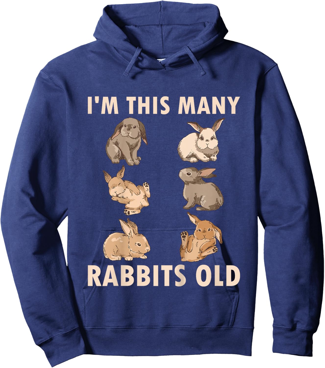Kids 6 Year Old Bunny Rabbits Old 6th Birthday Hoodie - Hoodie | Navy