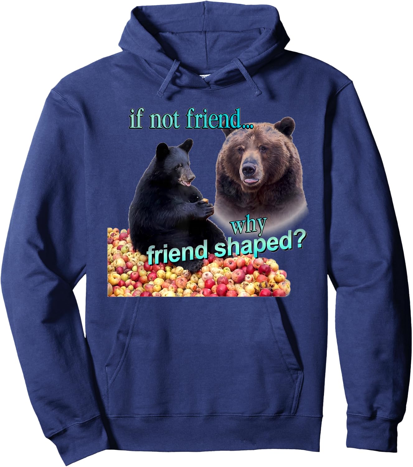If Not Friend Why Friend Shaped Funny Bear Lover Saying Hoodie - Hoodie | Navy