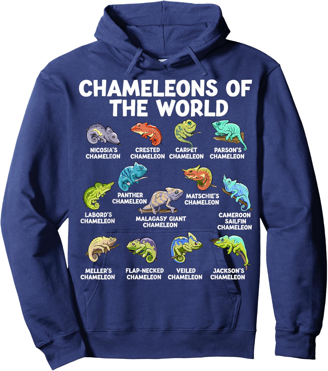 Chameleons Of The World Kawaii Types Of Chameleons Reptile Hoodie - Hoodie | Navy